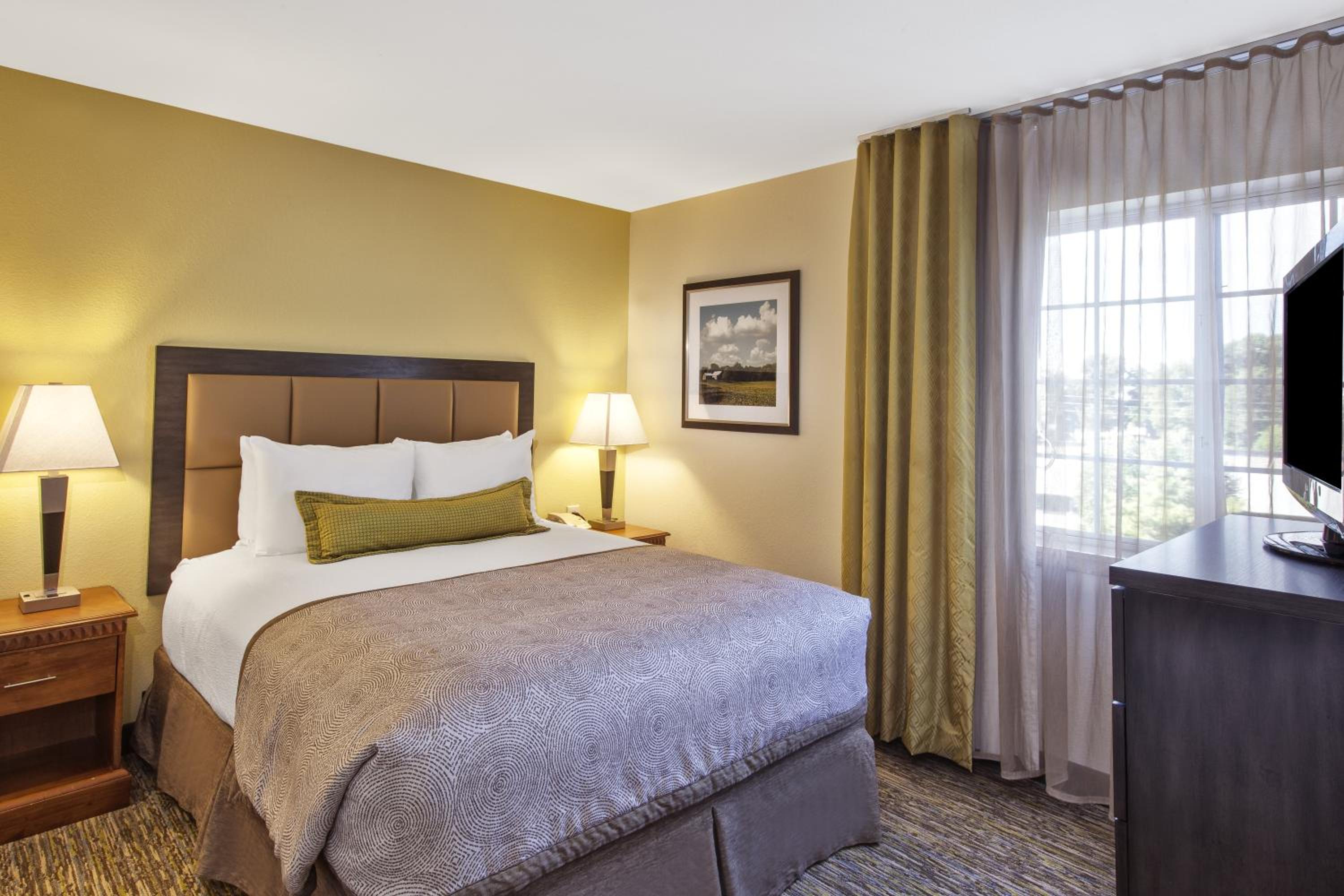 One-Bedroom Queen Suite - Photo 7