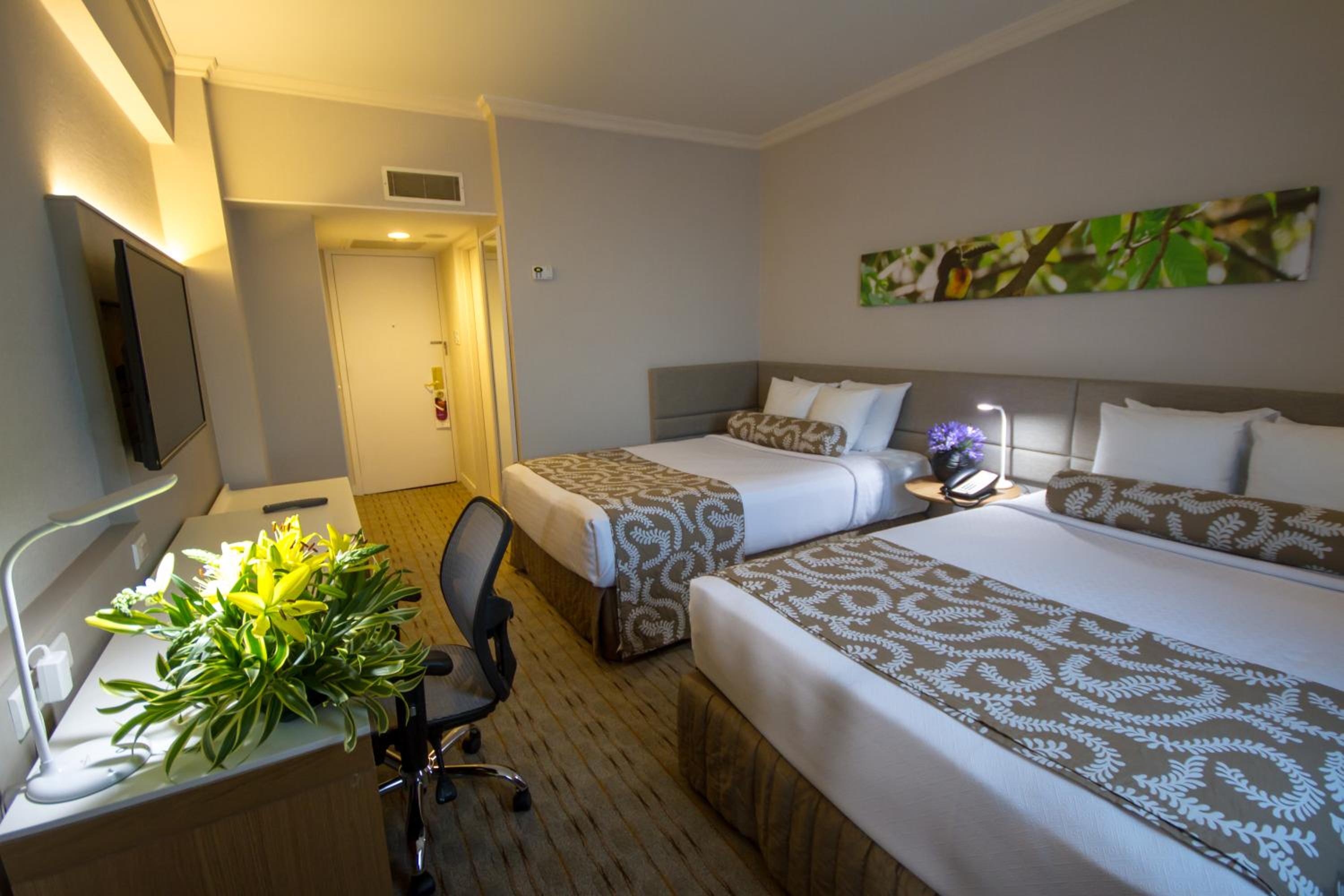 Queen Room with Lake View - Photo 1