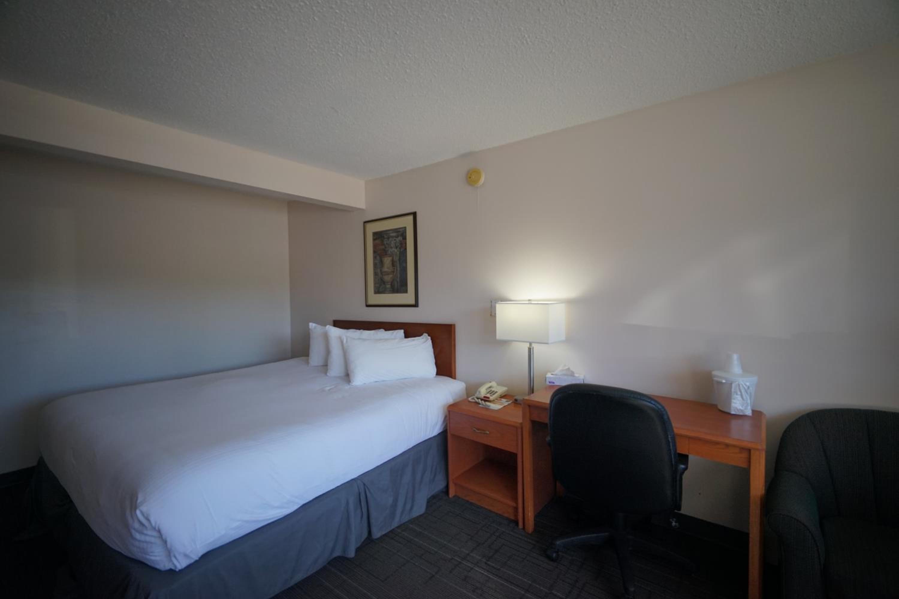 Superior Single Room photo 2