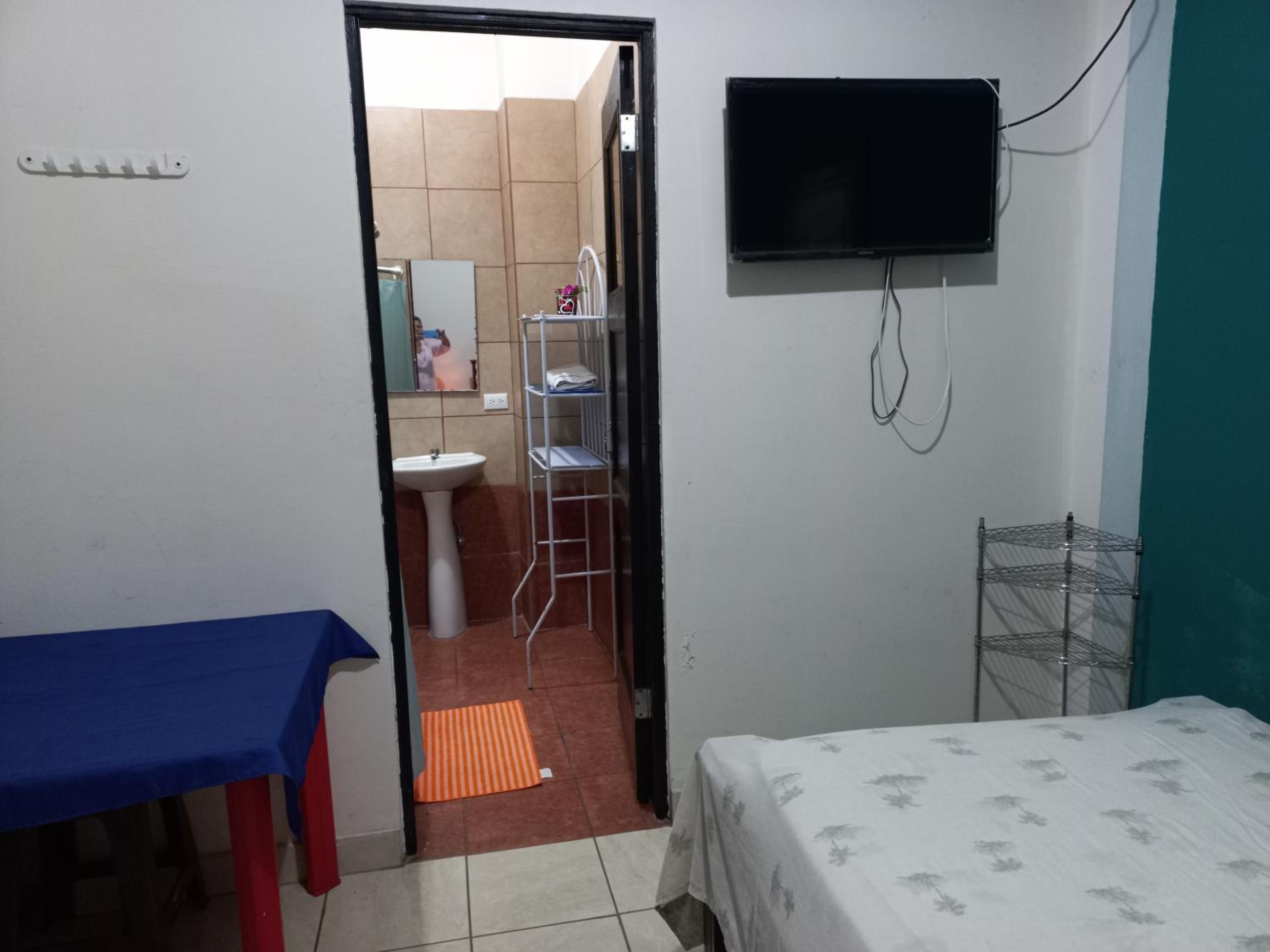 Single Room photo 1