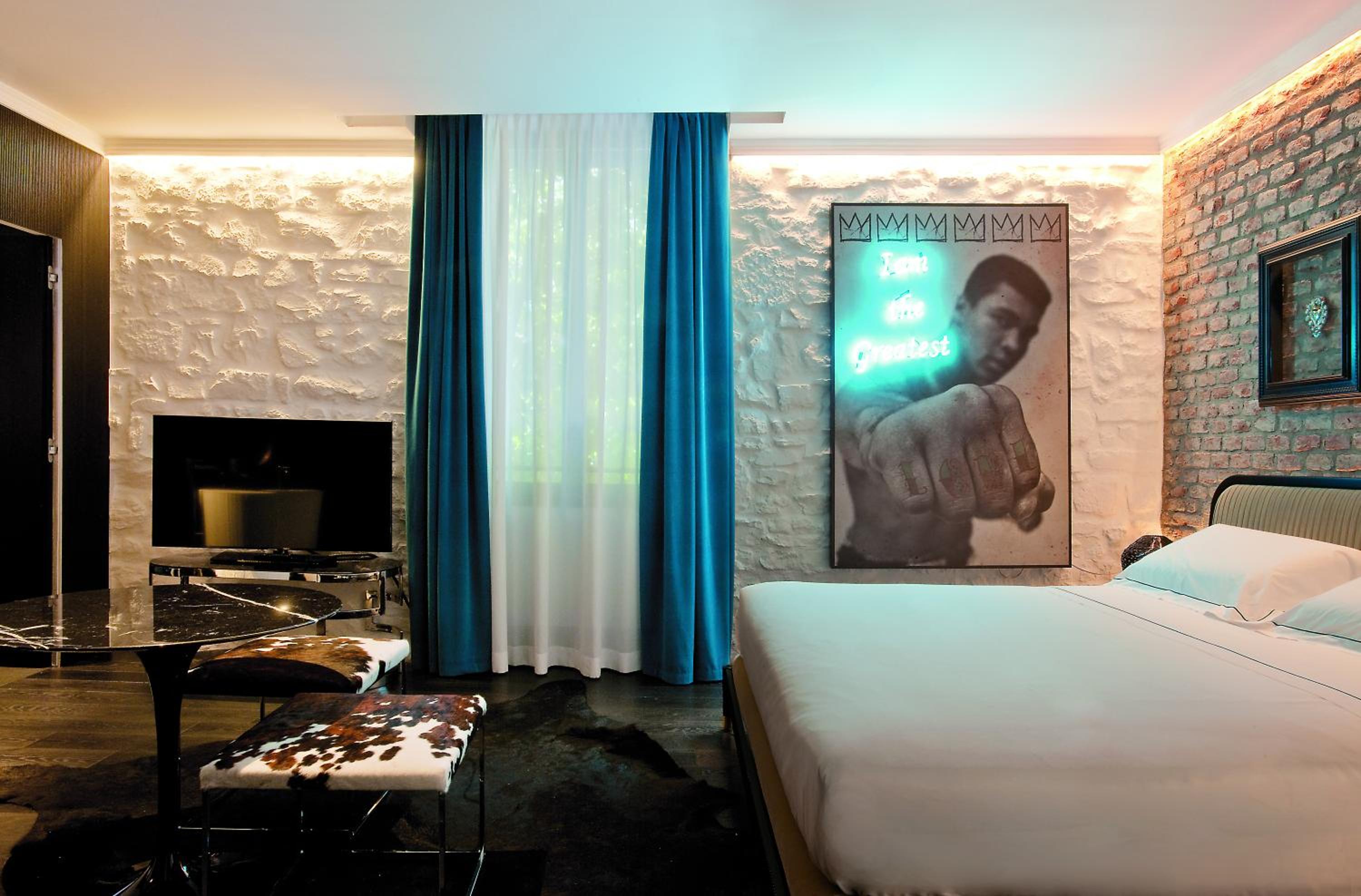 Suite - Photo 1