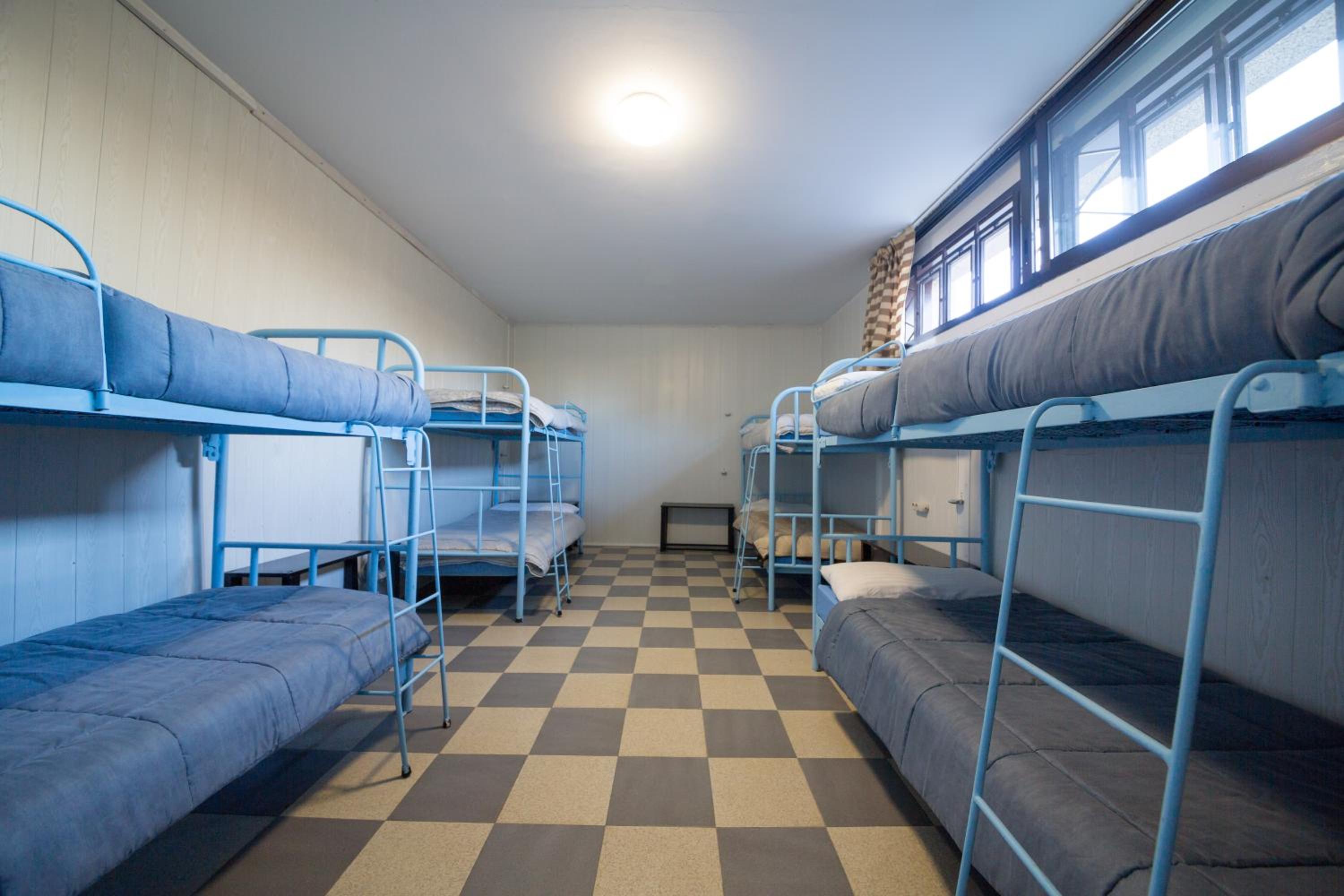 Bunk Bed in Mixed Dormitory Room photo 3