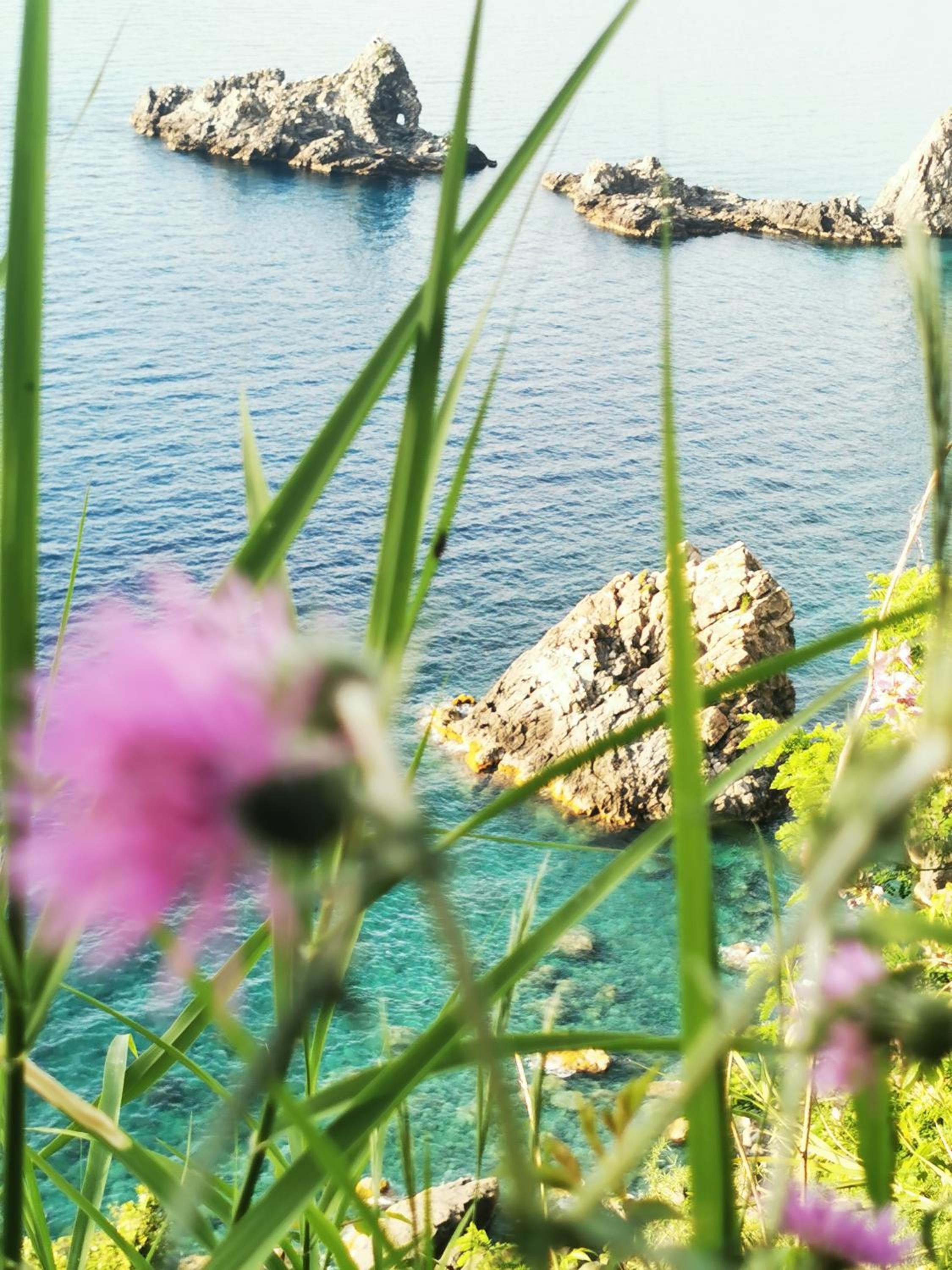 Apartment with Sea View - Photo 7