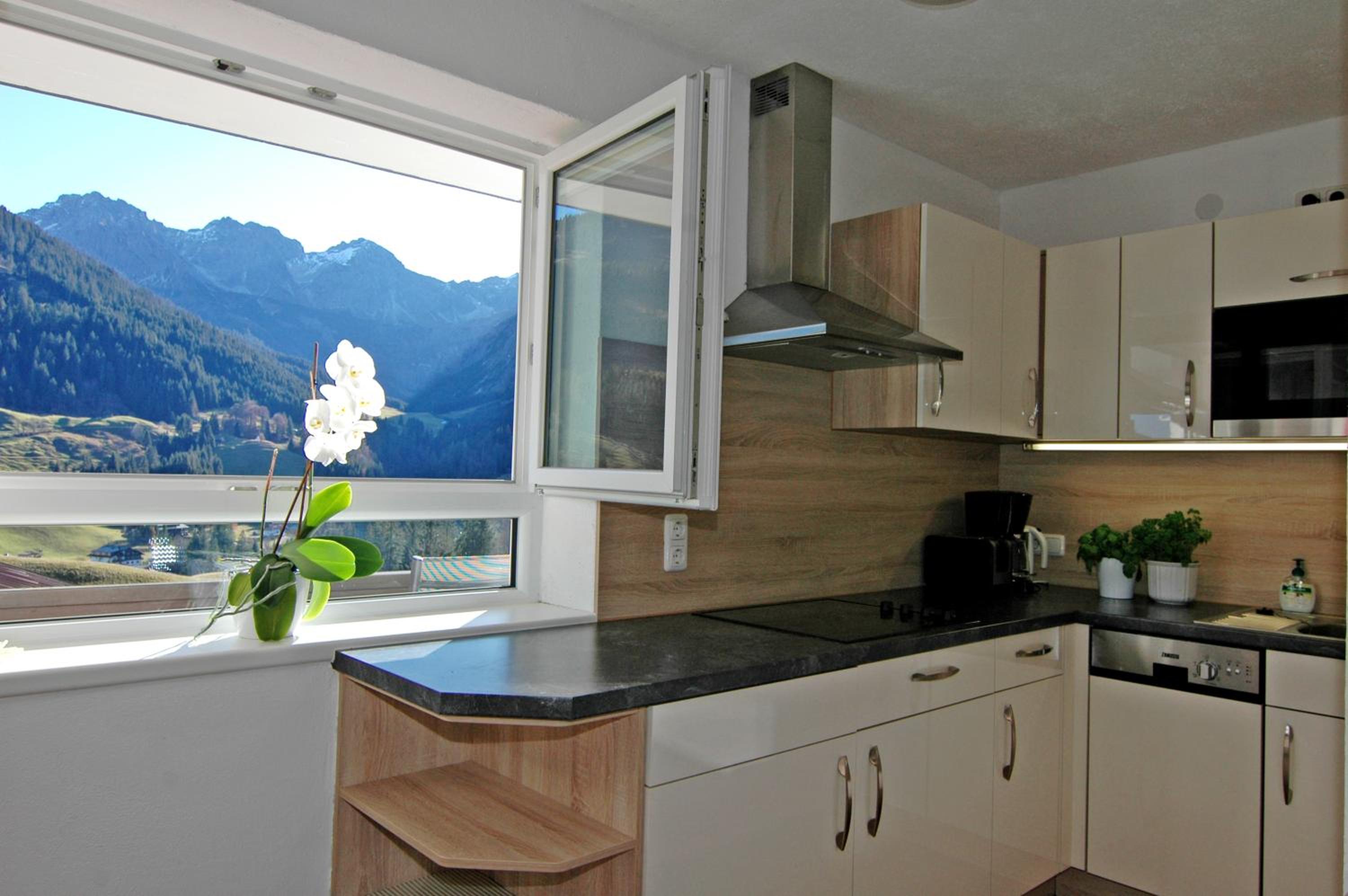 Apartment with Mountain View photo 3