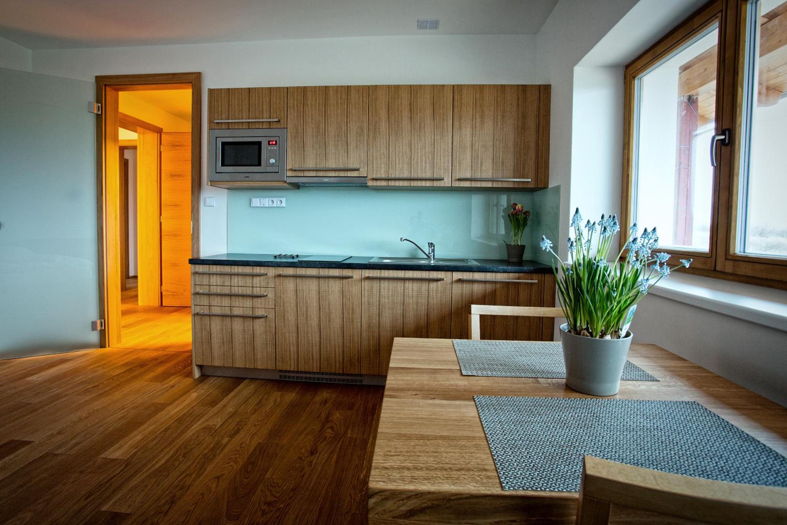 Studio Apartment photo 2