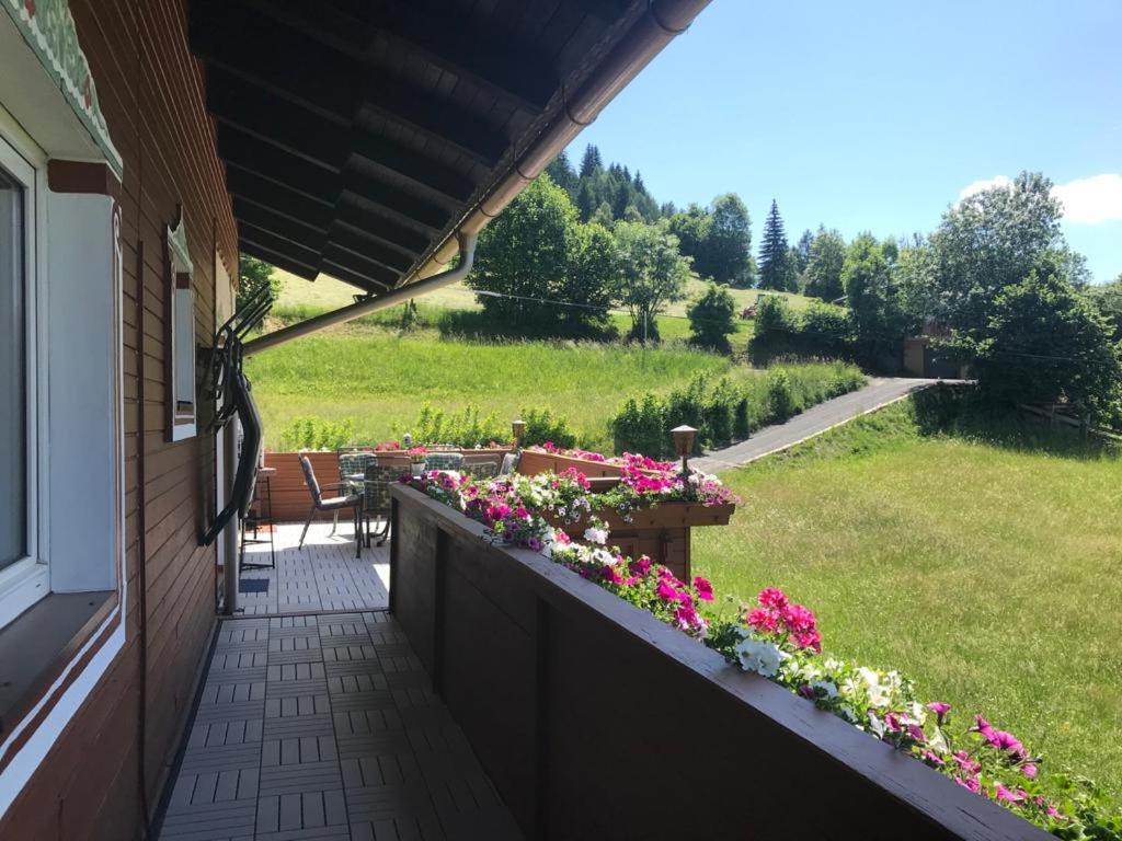 Apartment with Mountain View photo 3