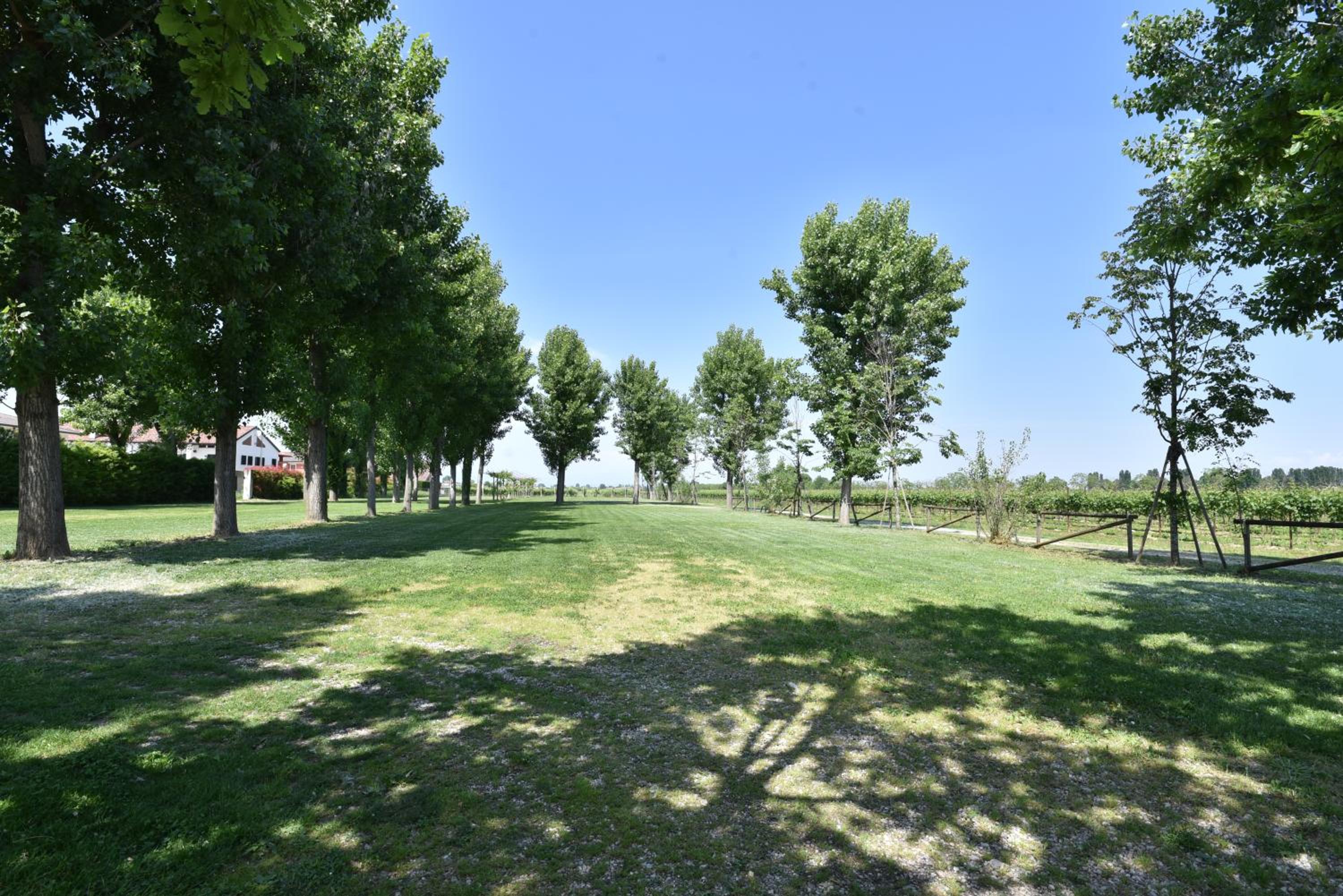 Tenuta Le Risare, Bild 3