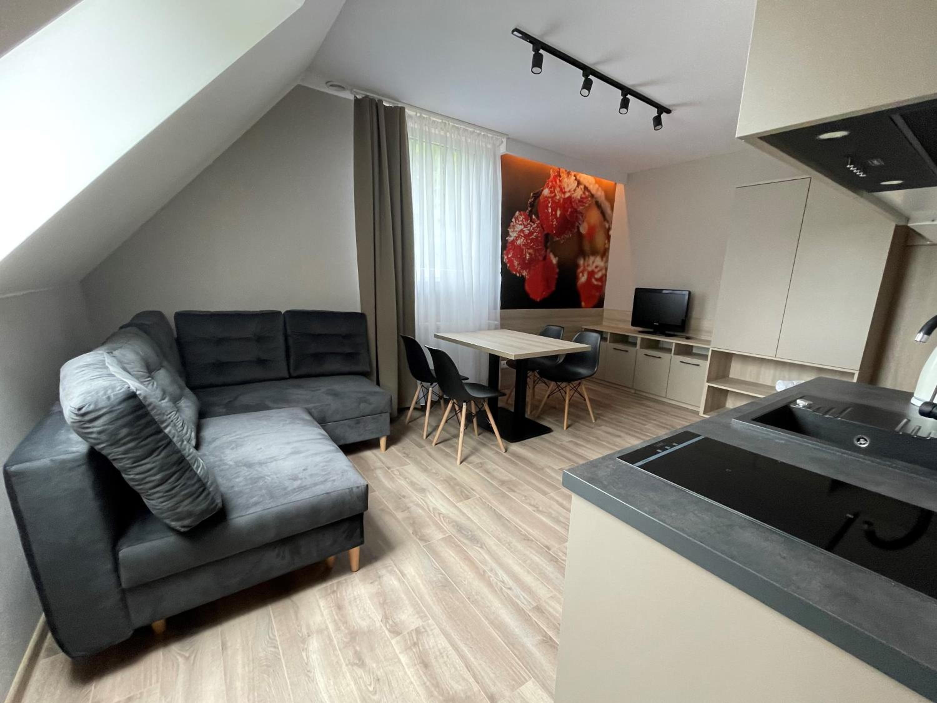 Duplex Apartment photo 1