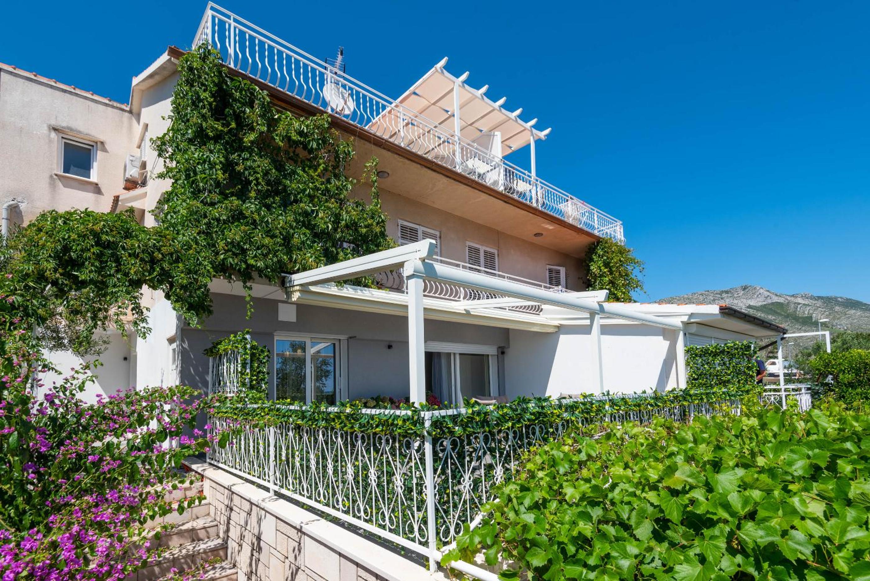 Apartment with Terrace photo 2