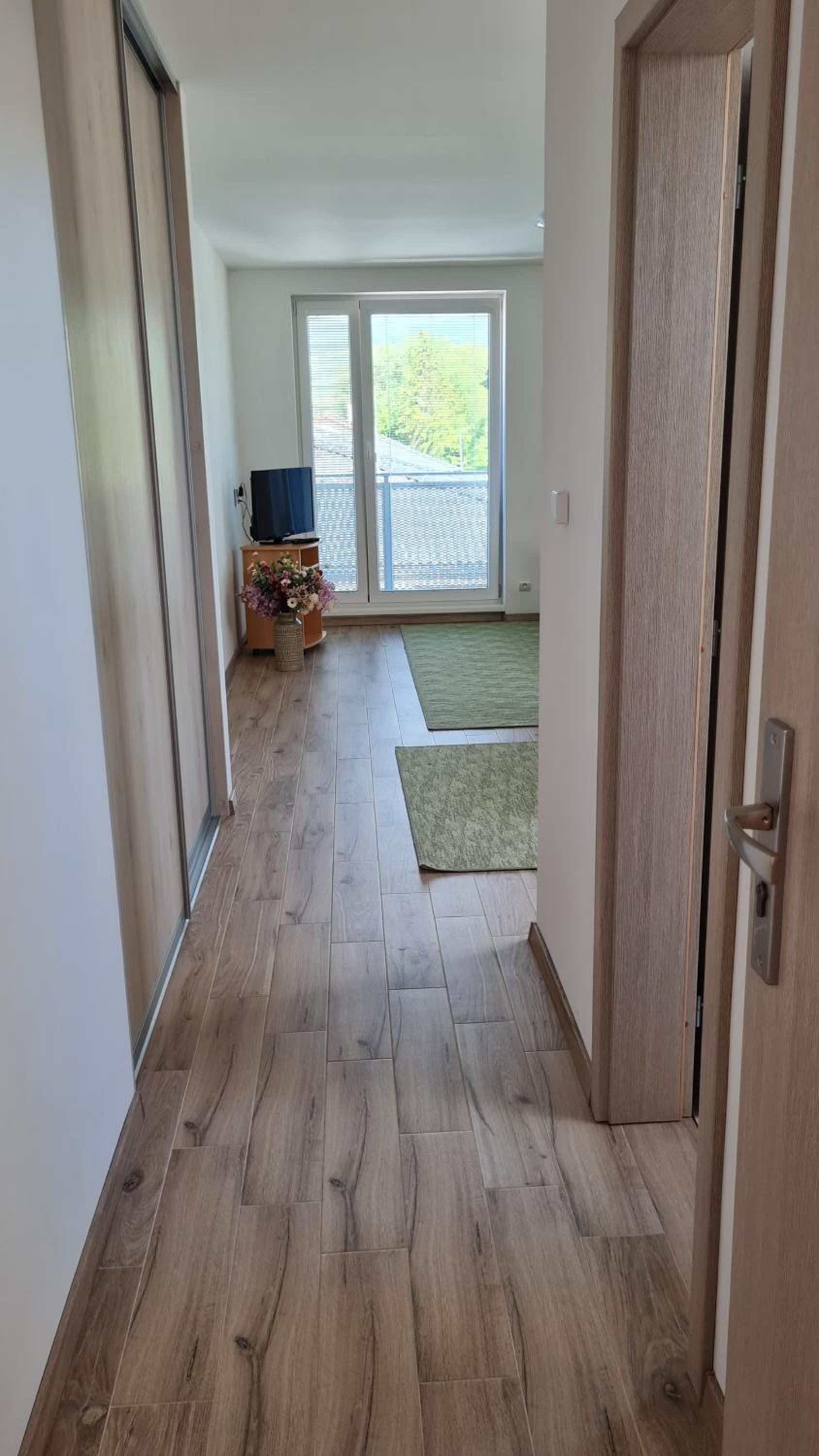 Apartment with Balcony photo 1
