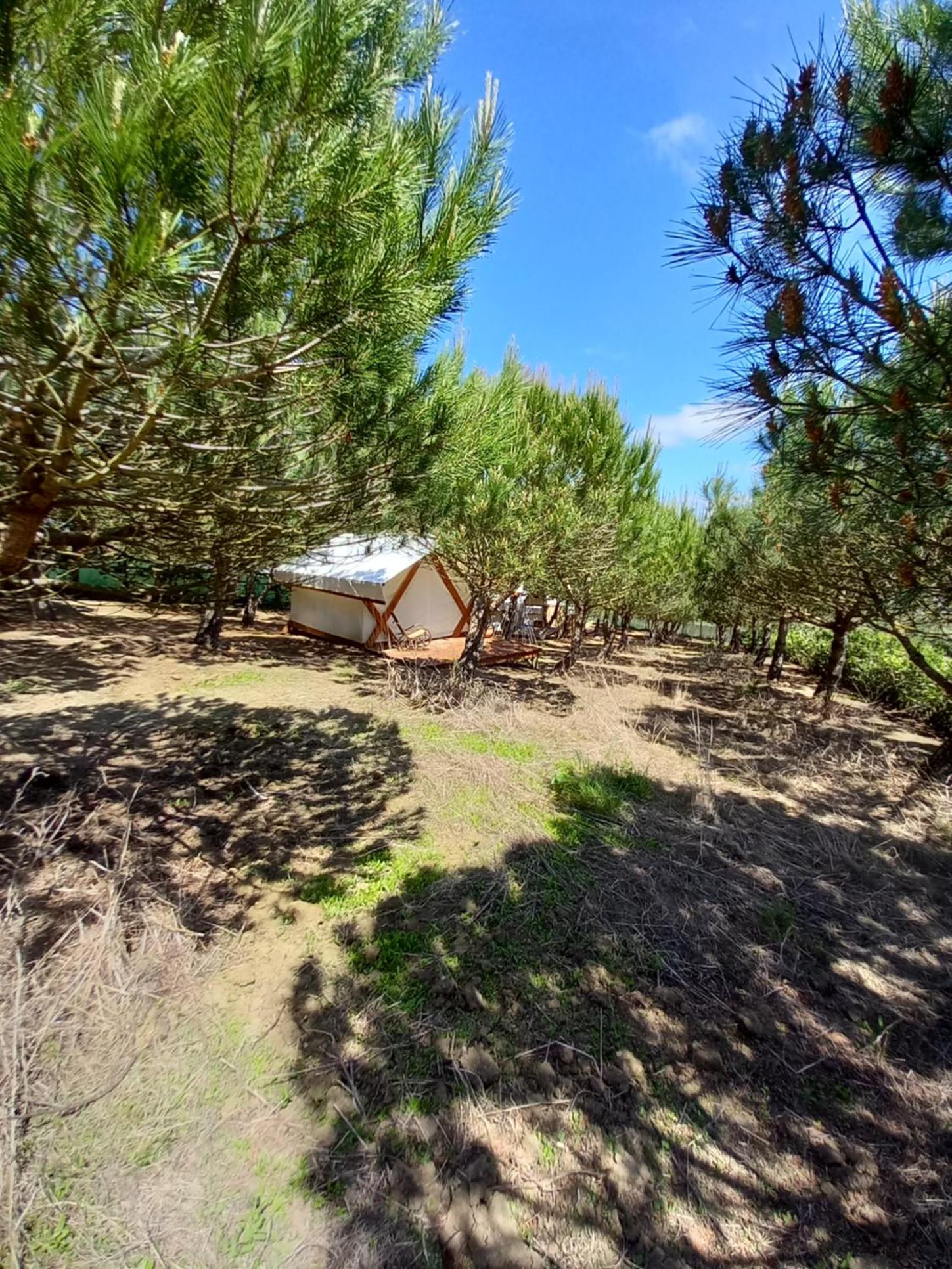 Tent - Photo 18