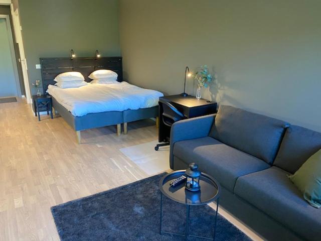 Studio with Sofa Bed photo 2