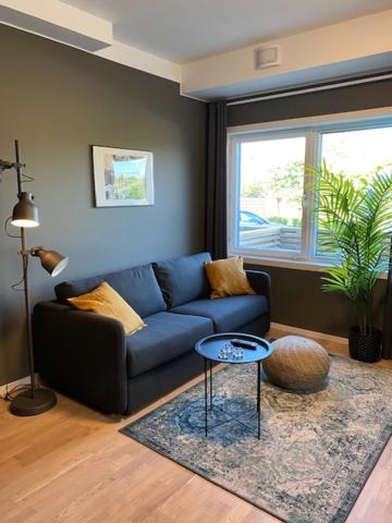 Studio with Sofa Bed photo 3