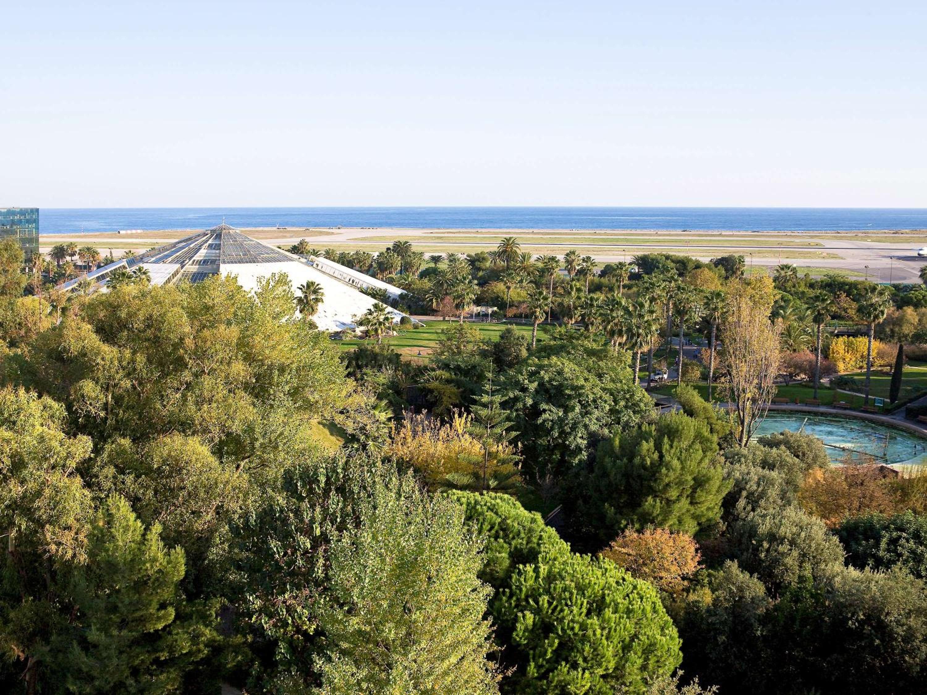 Superior Sea View Suite - Photo 8