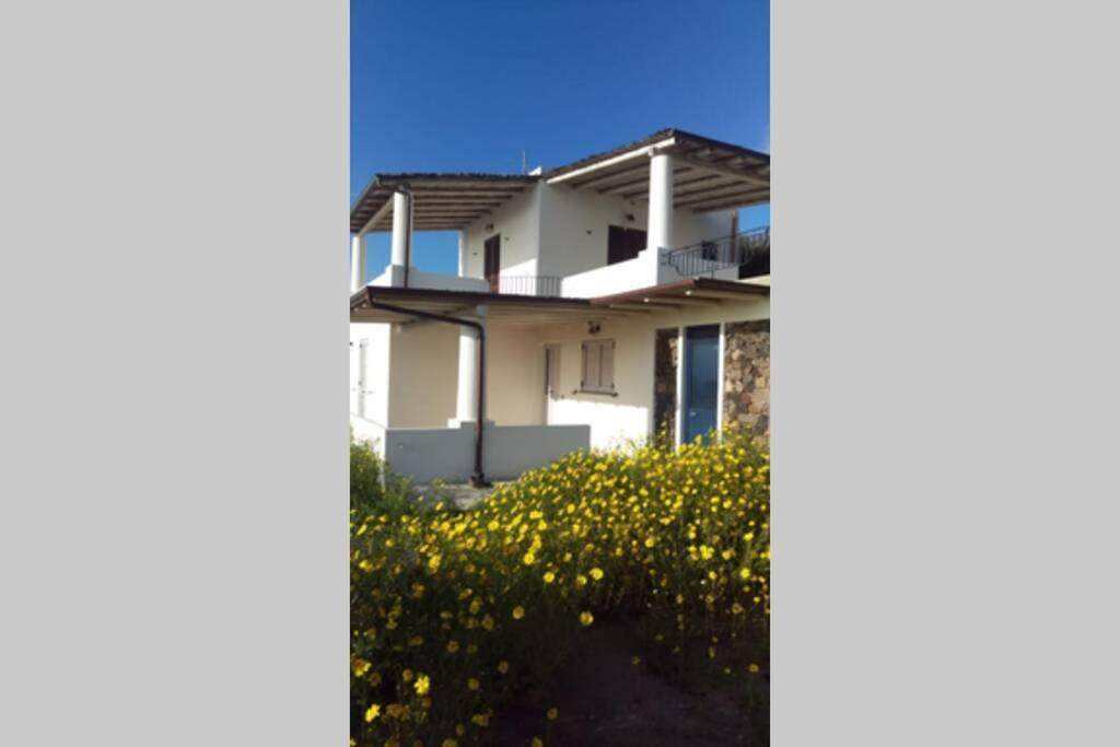 Three-Bedroom Villa photo 2
