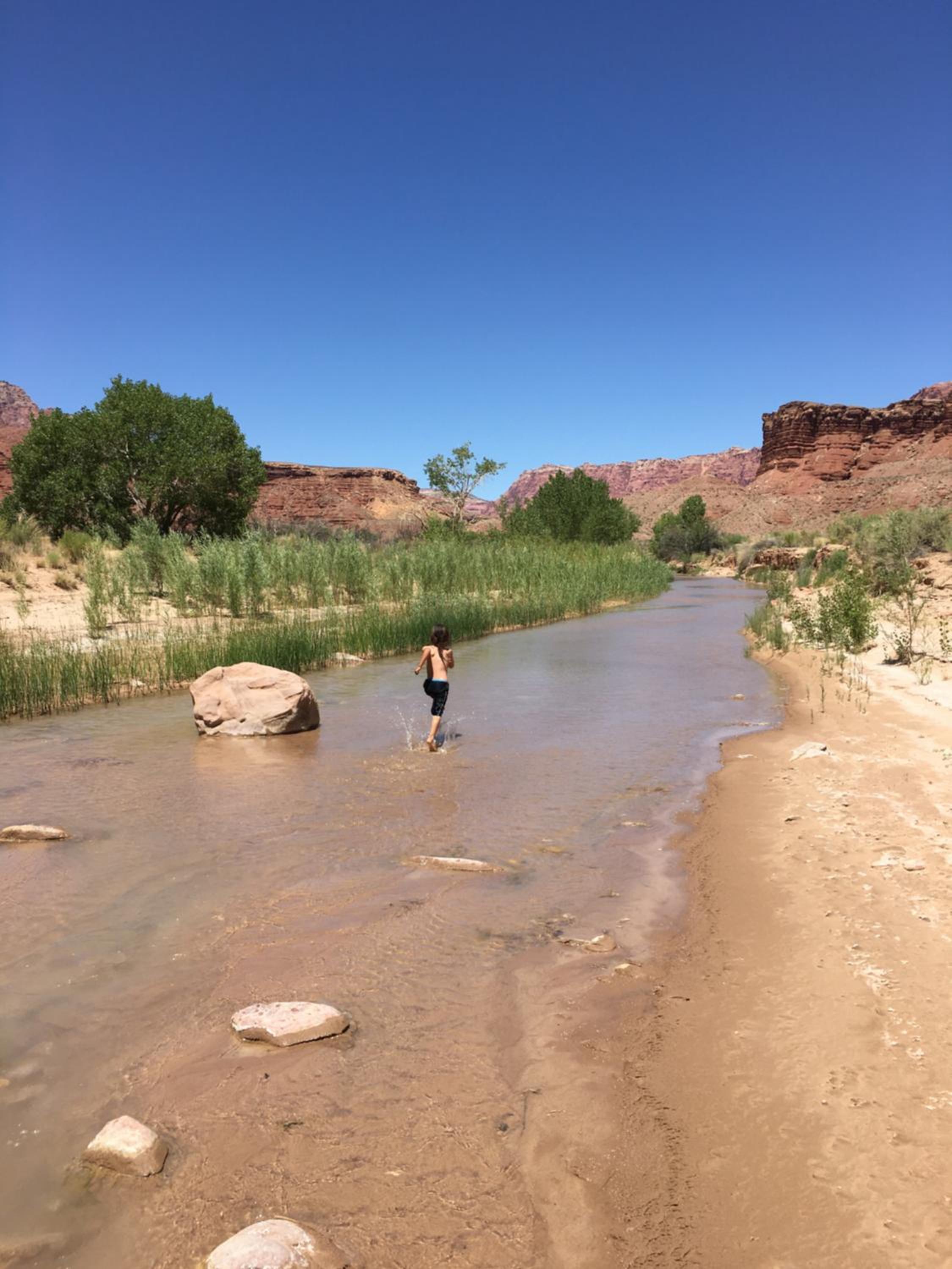 Traditional Navajo Hogan (1) - Photo 43