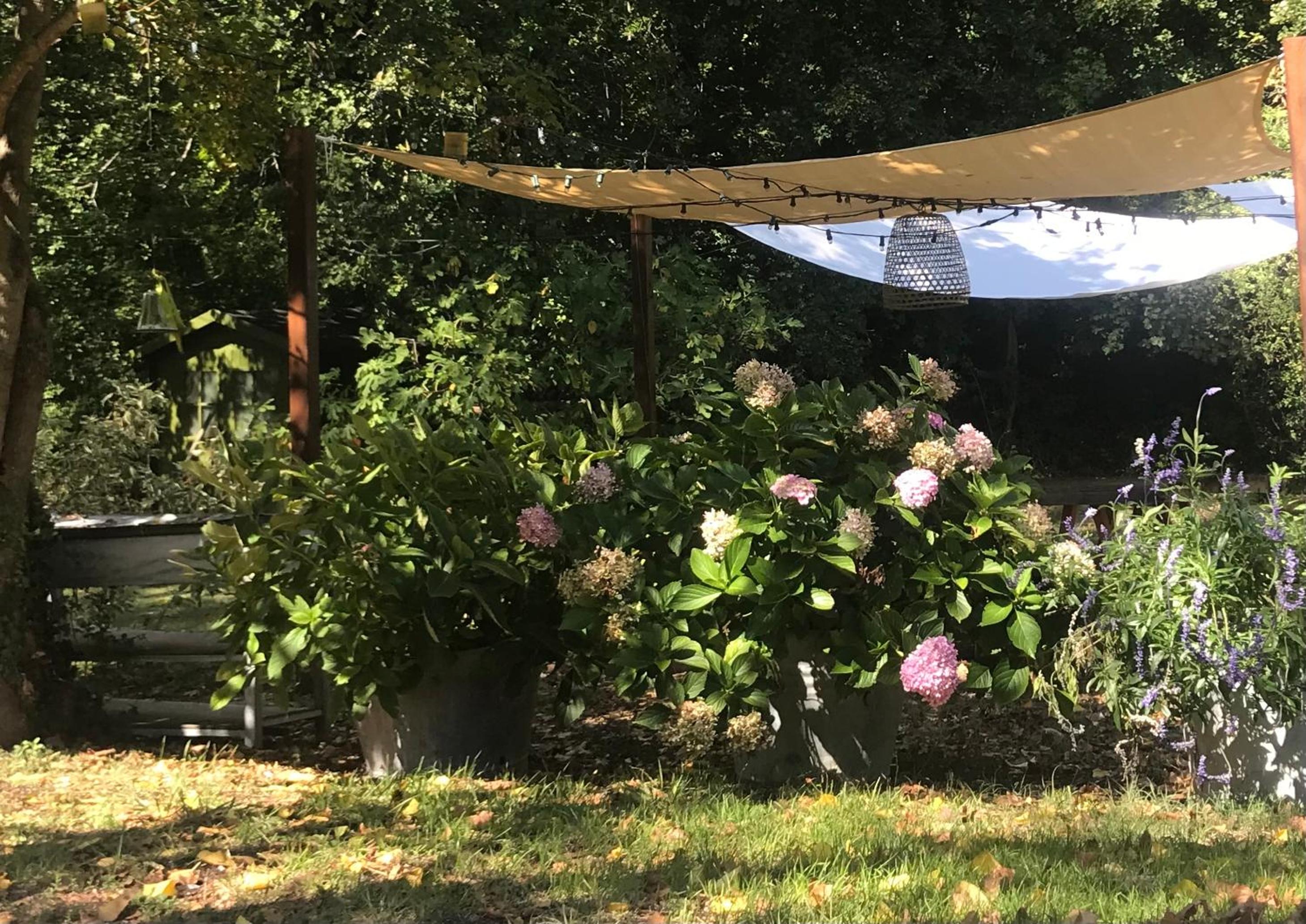 Studio with Garden View - Photo 29