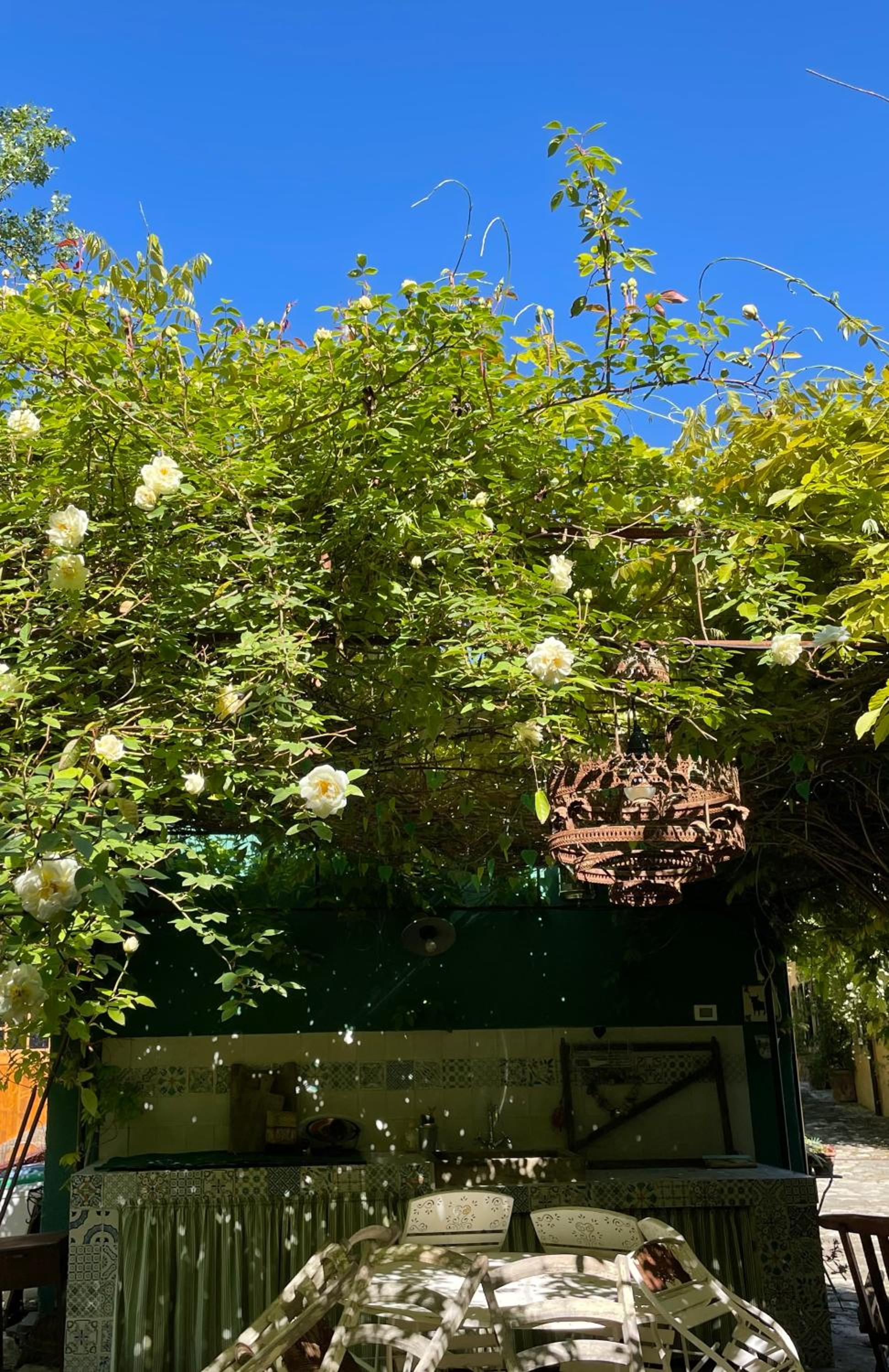 Studio with Garden View - Photo 30