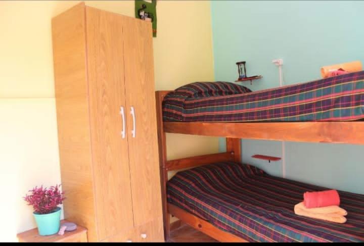 Twin Room photo 1