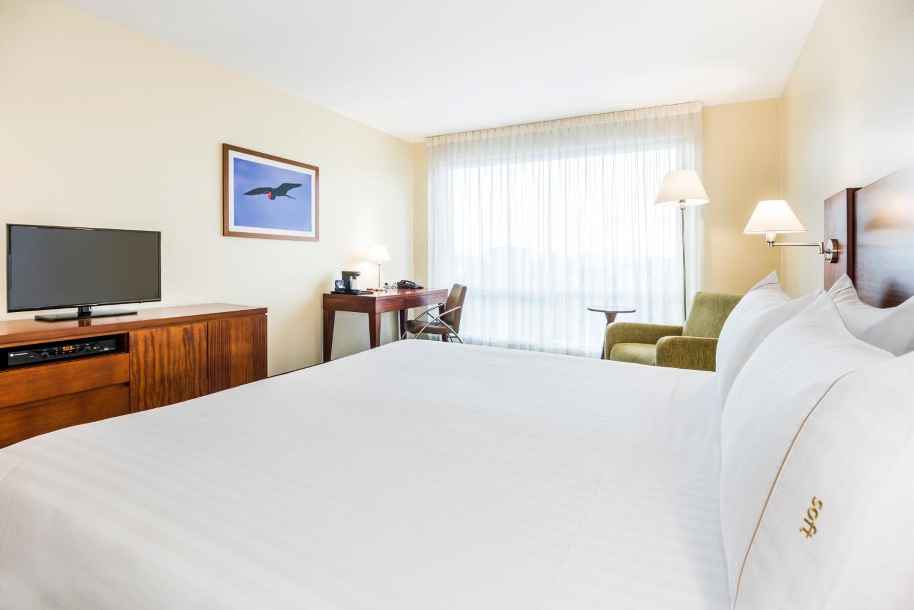 King Suite - Photo 3