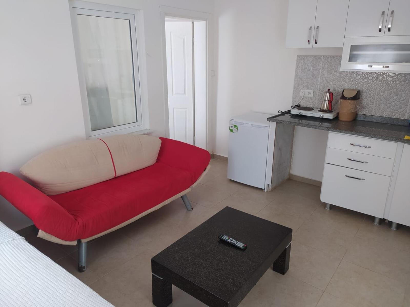One-Bedroom Apartment photo 3