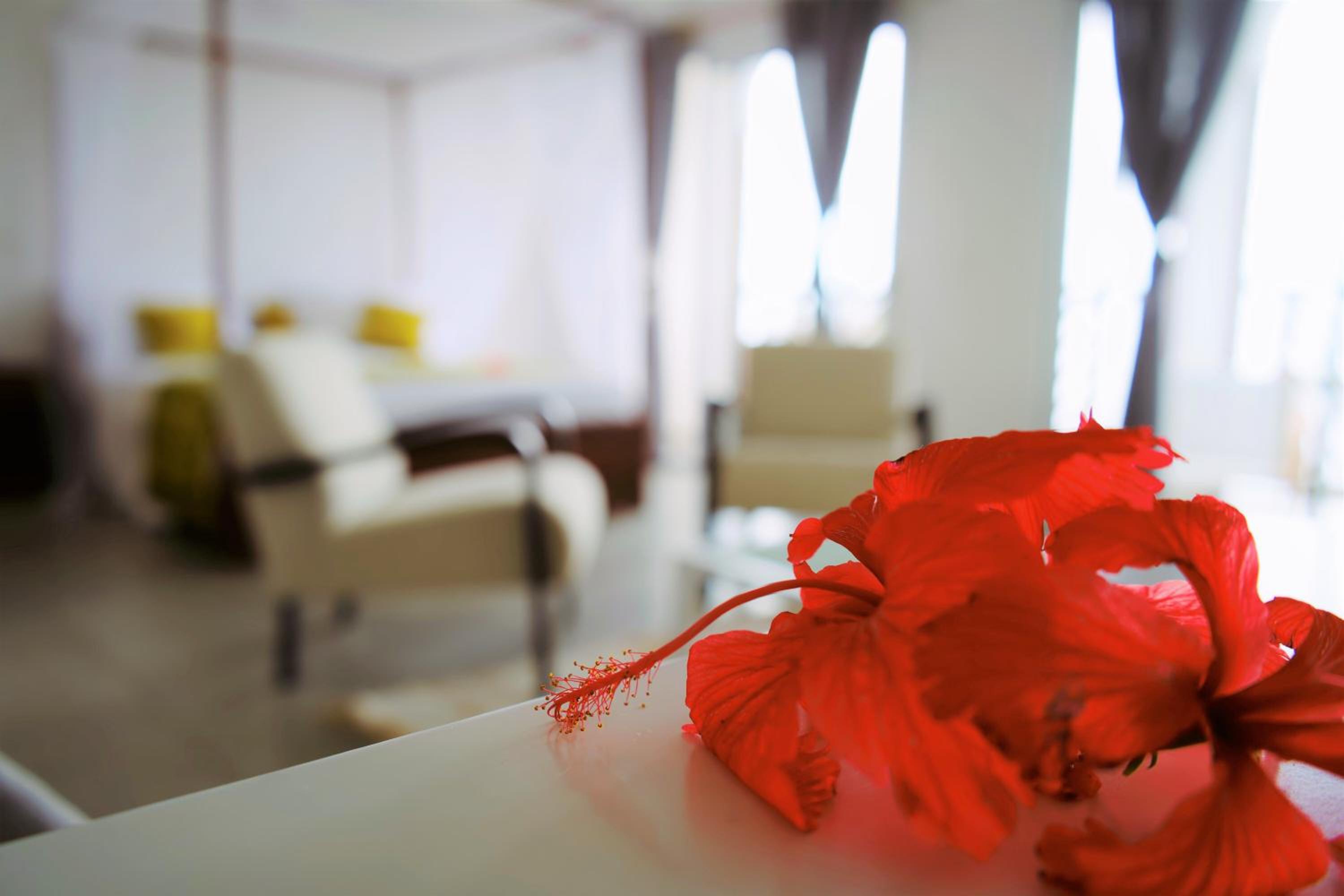 Prestige Suite photo 2
