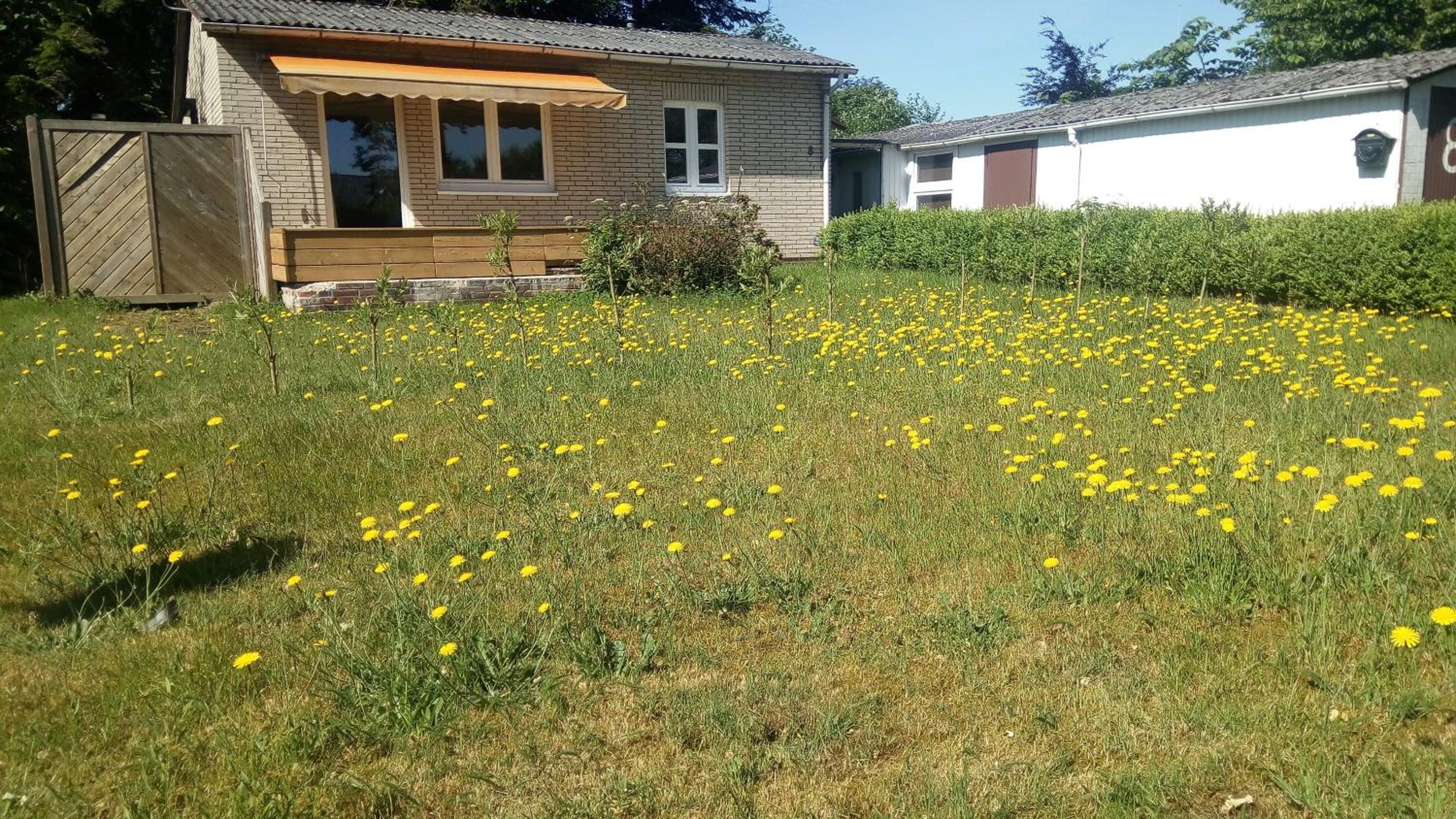 Vacation Home photo 2