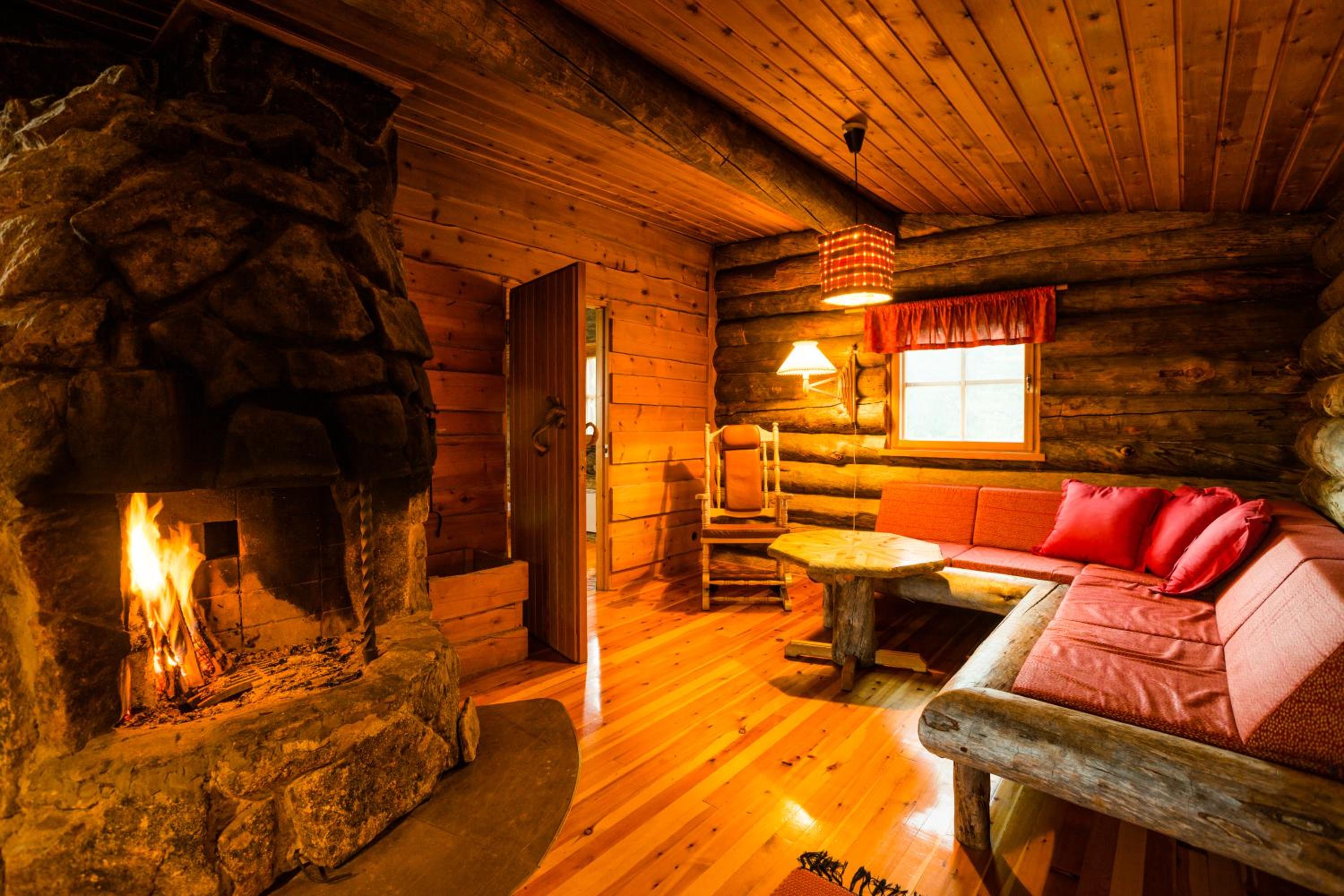 Large Chalet (East Village) - Photo 7