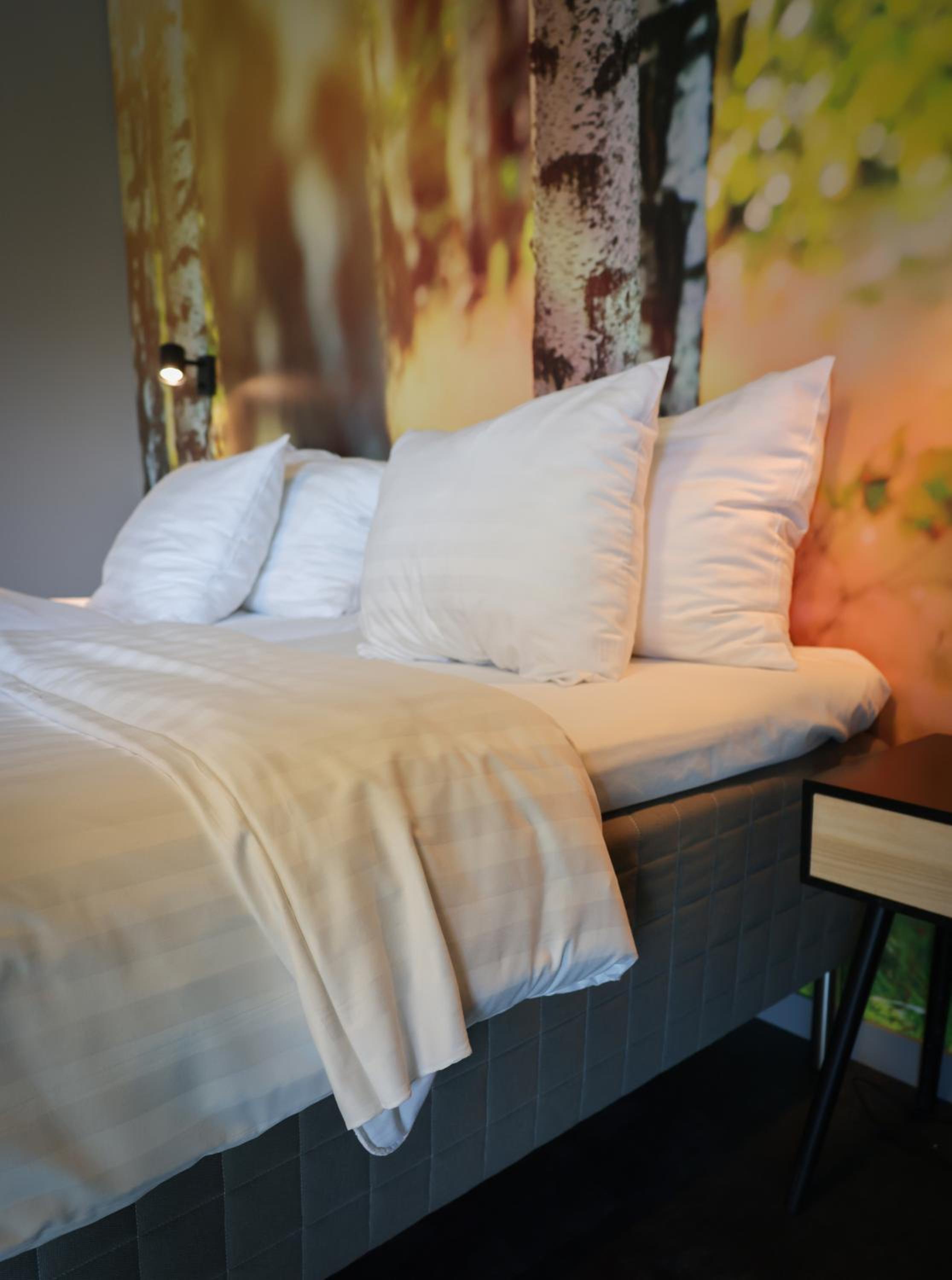 Standard Twin Room - Photo 4