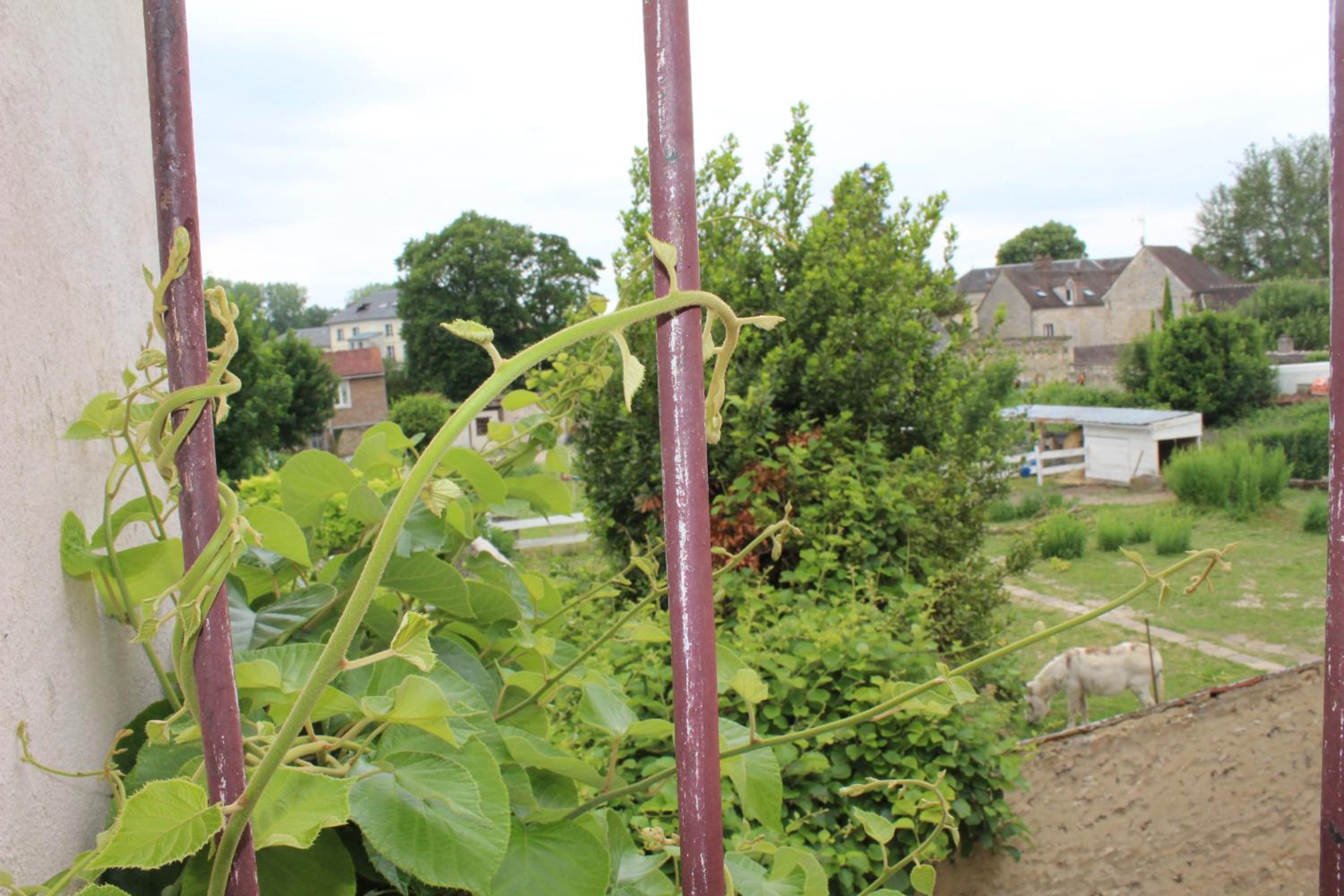Apartment with Garden View - Photo 9