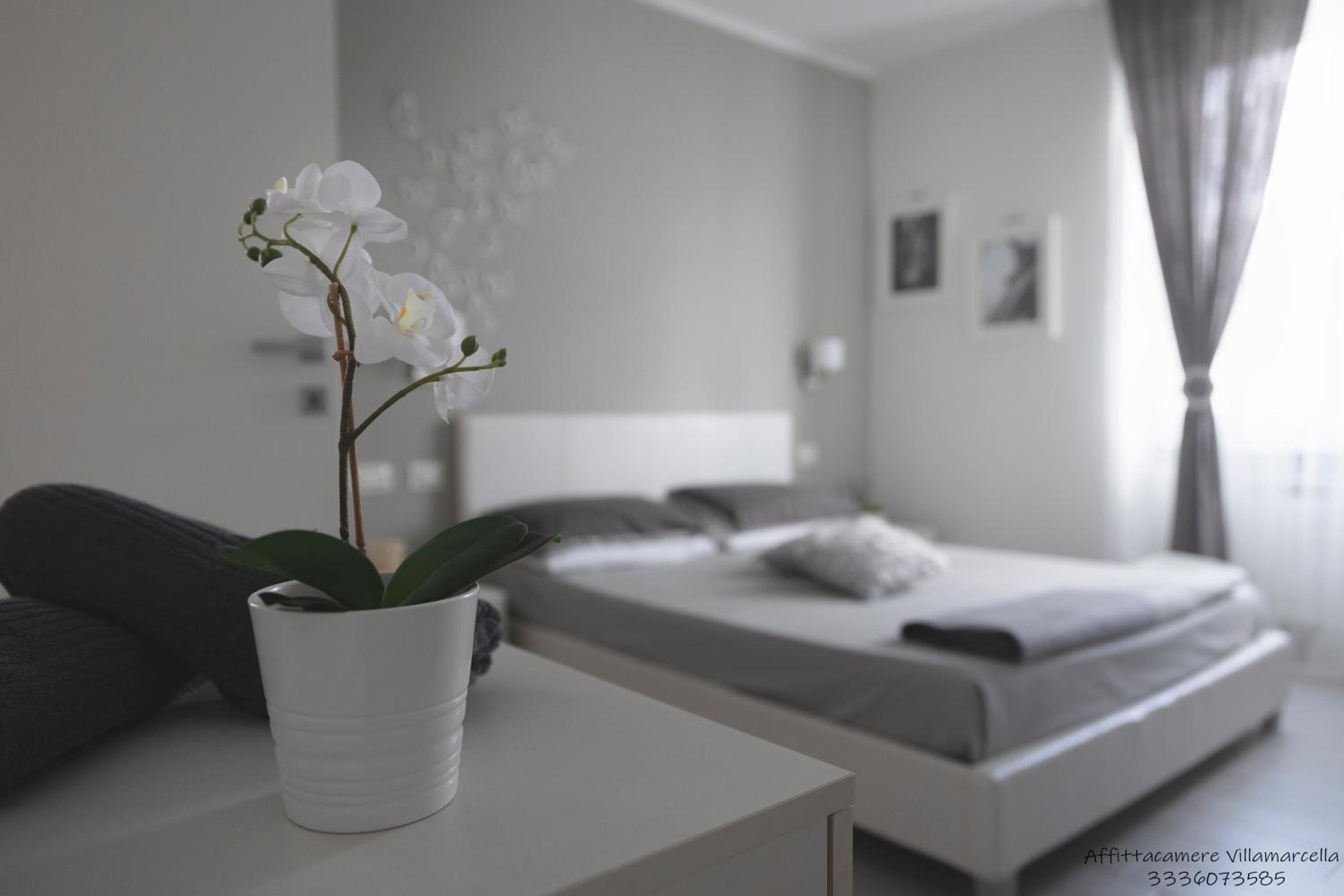 Double Room with Garden View photo 1