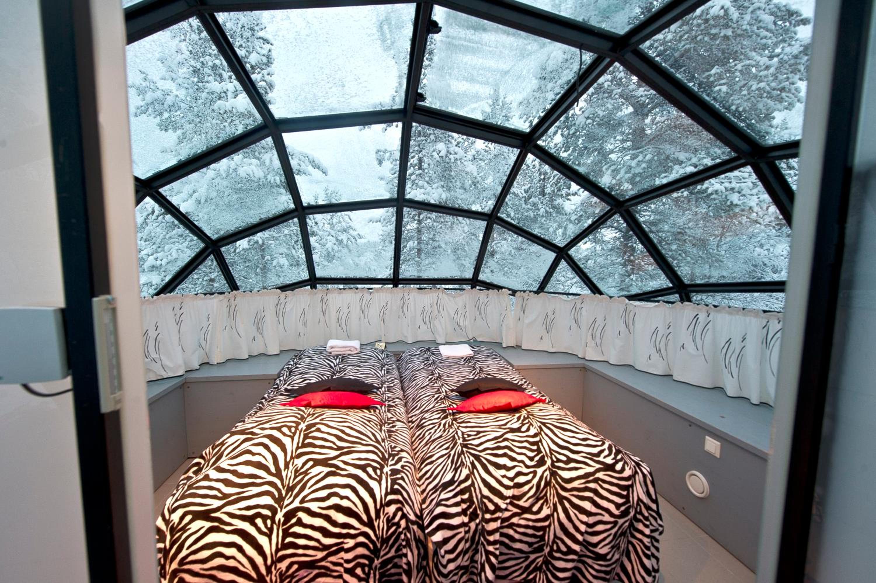 East Glass Igloo (2 Adults)