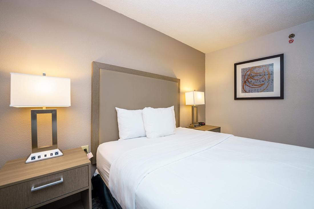 1 Queen Bed, Mobility Accessible Room, Non-Smoking  - Photo 2
