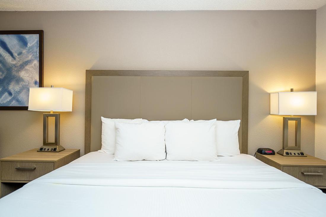 King Room - Non-Smoking - Photo 3