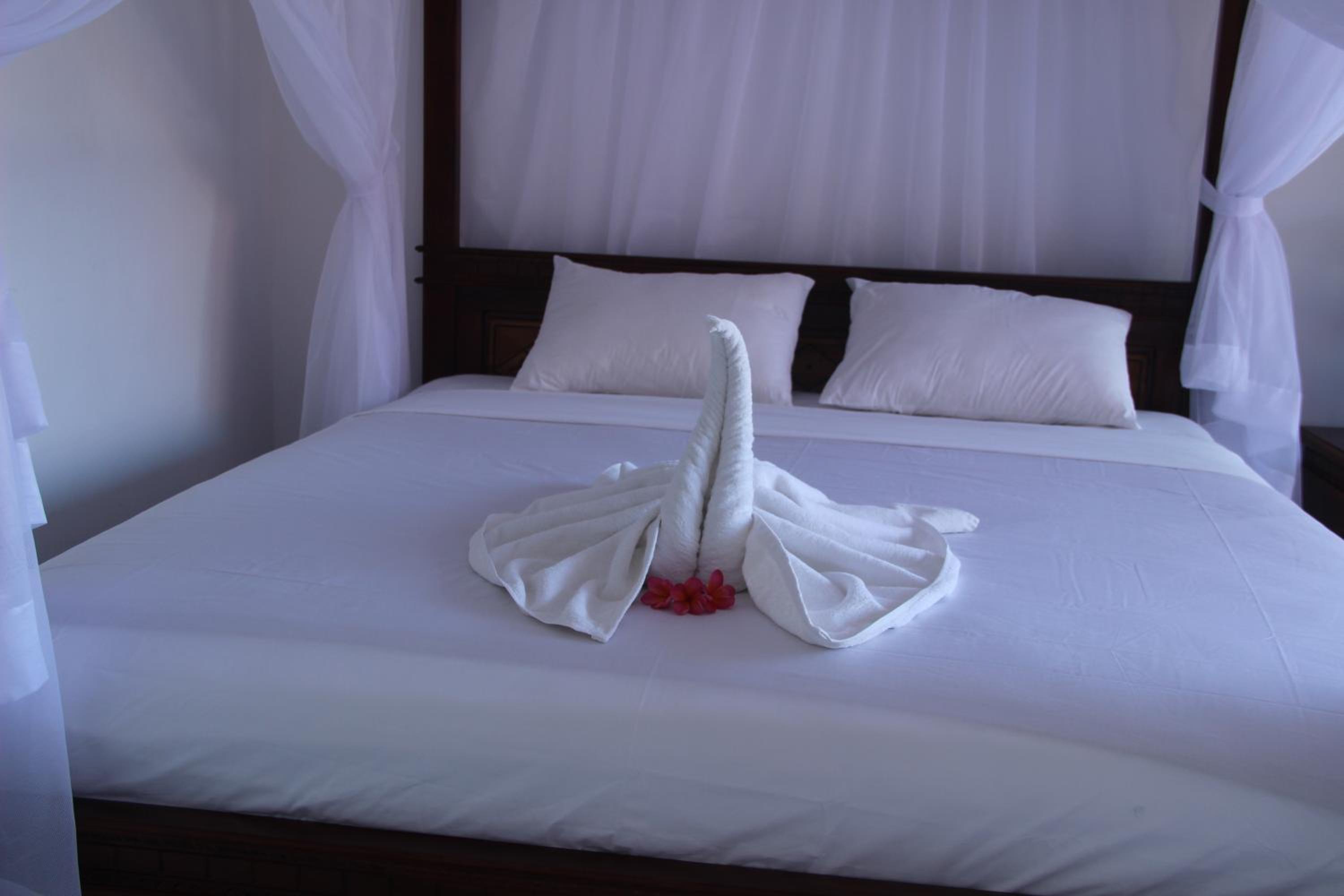 Superior Double or Twin Room photo 1