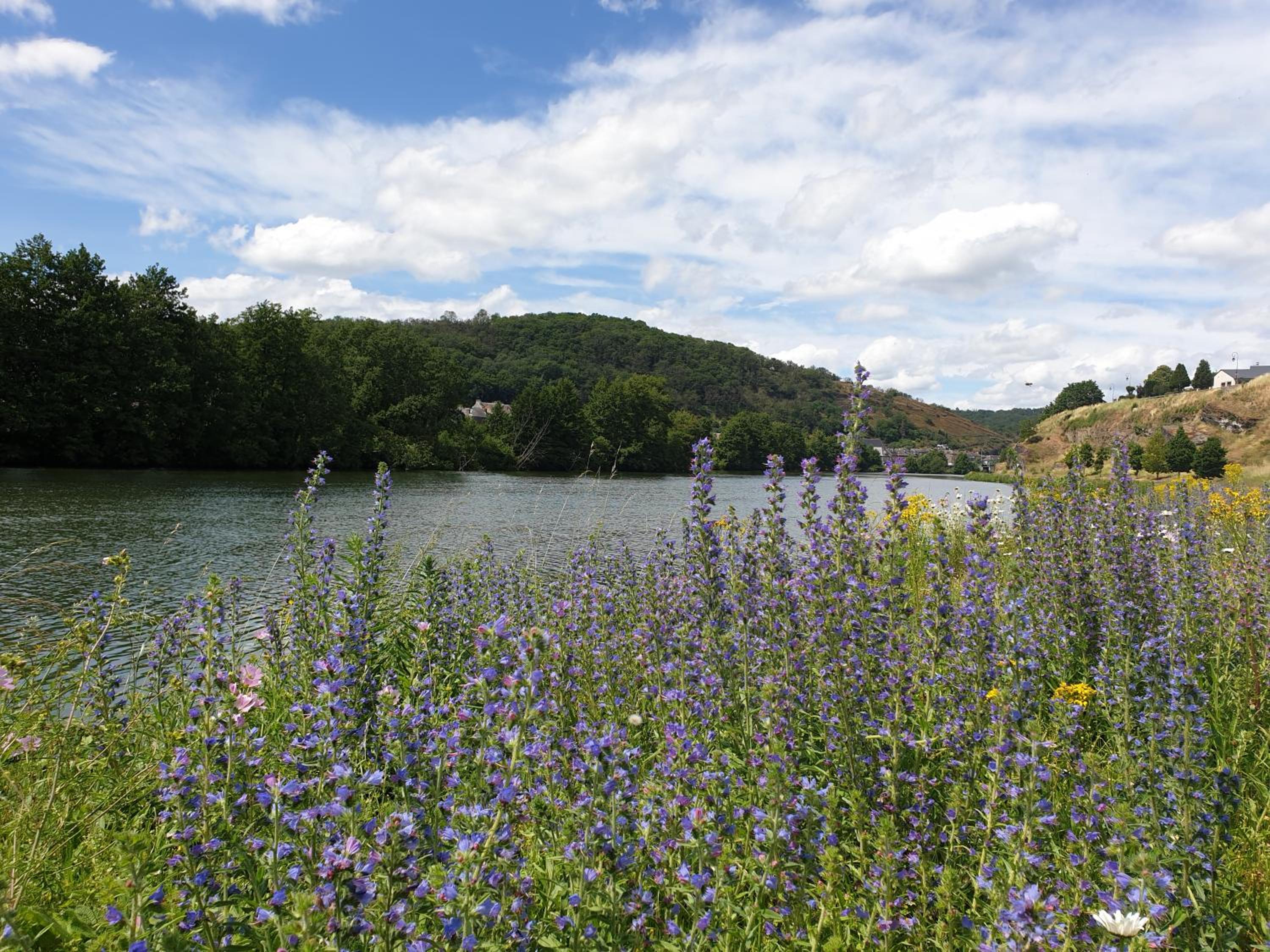 Chalet - Photo 24
