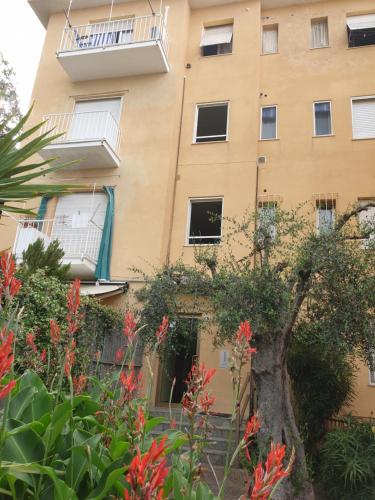 Apartment with Terrace photo 3