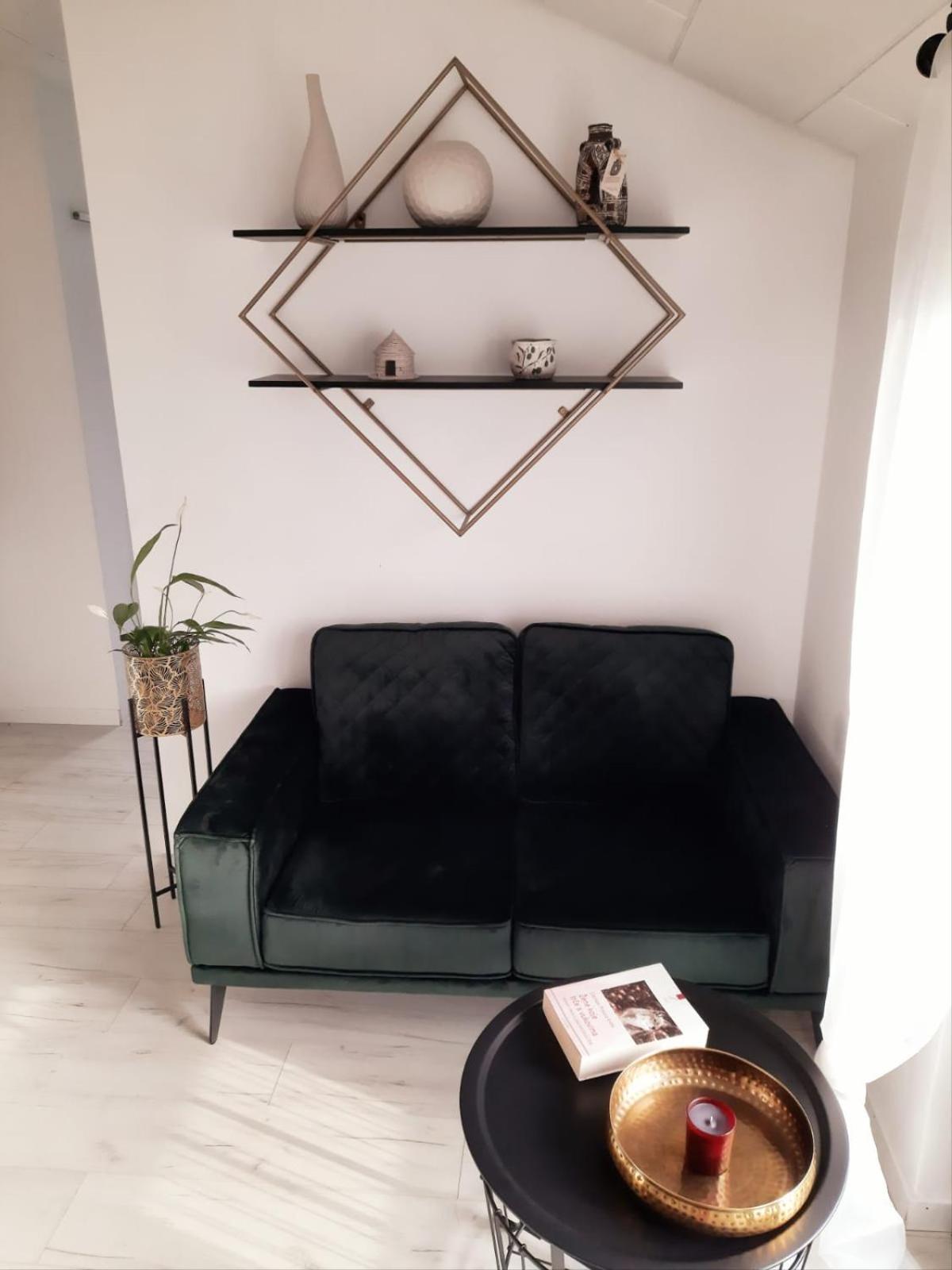 Standard Studio - Photo 12