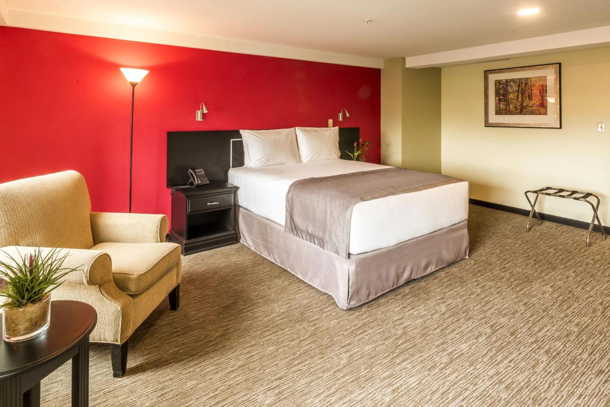 Superior Double or Twin Room - Photo 4