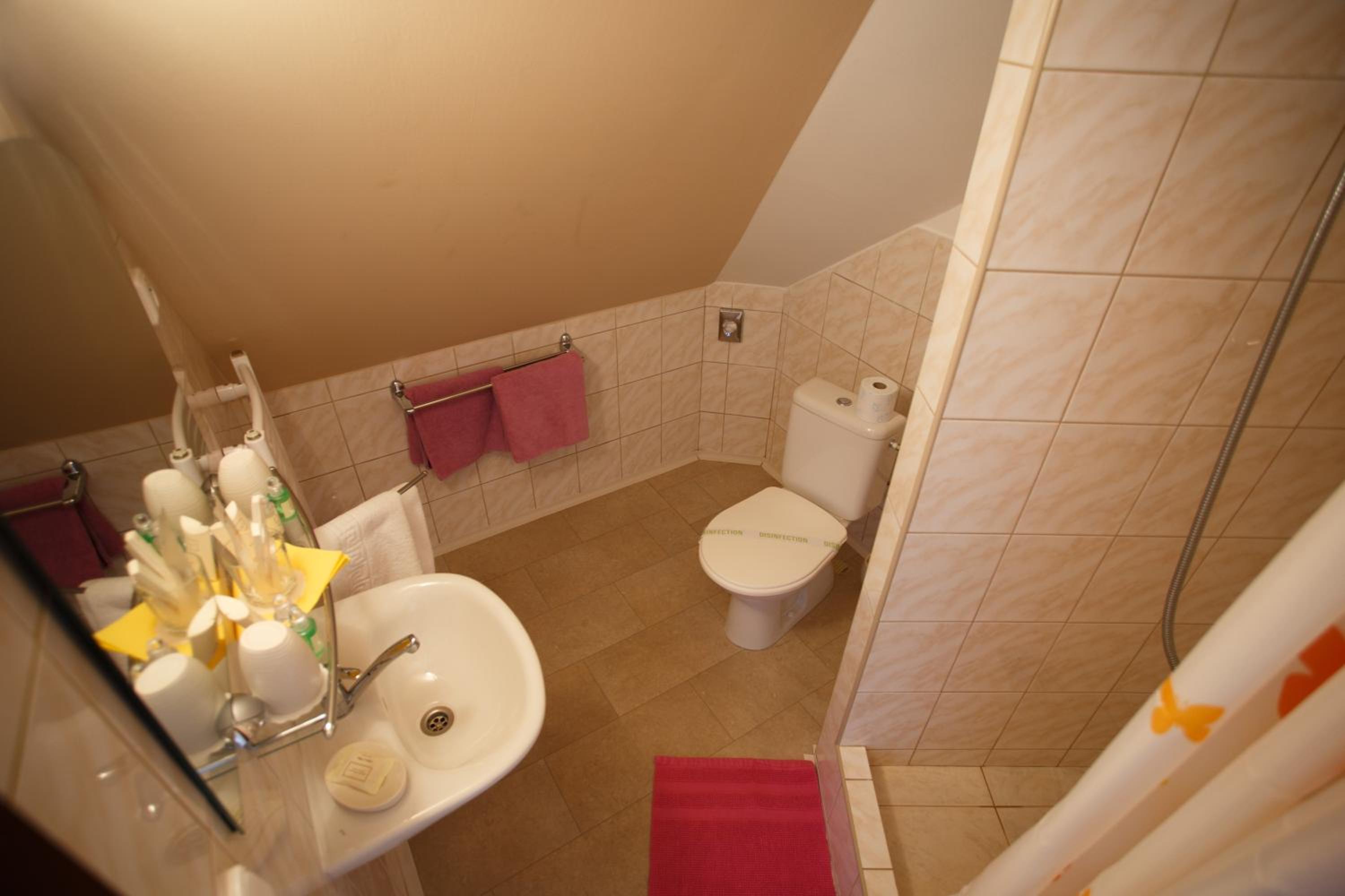 Double or Twin Room - Photo 19
