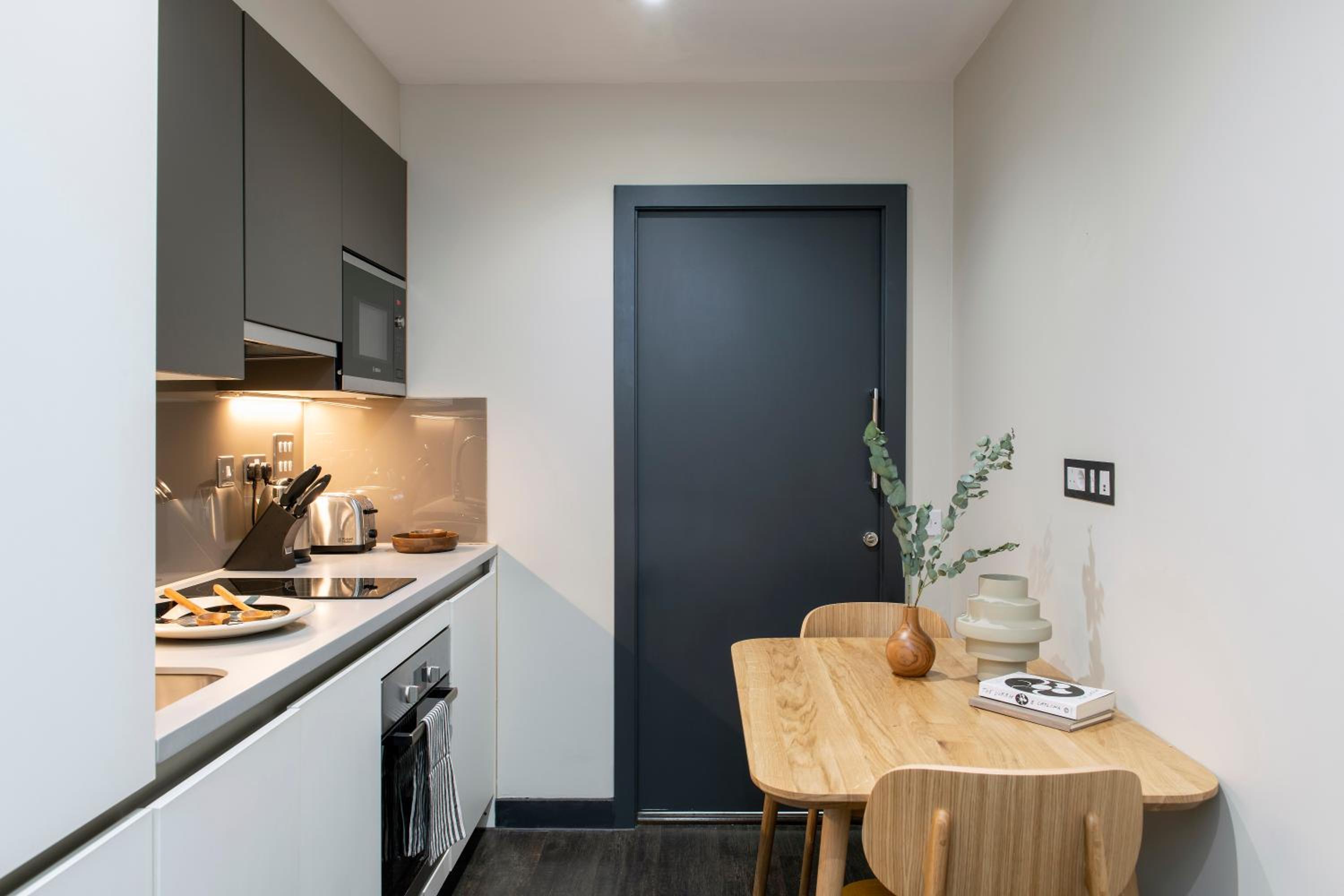 Accessible One-Bedroom Apartment thumbnail 5