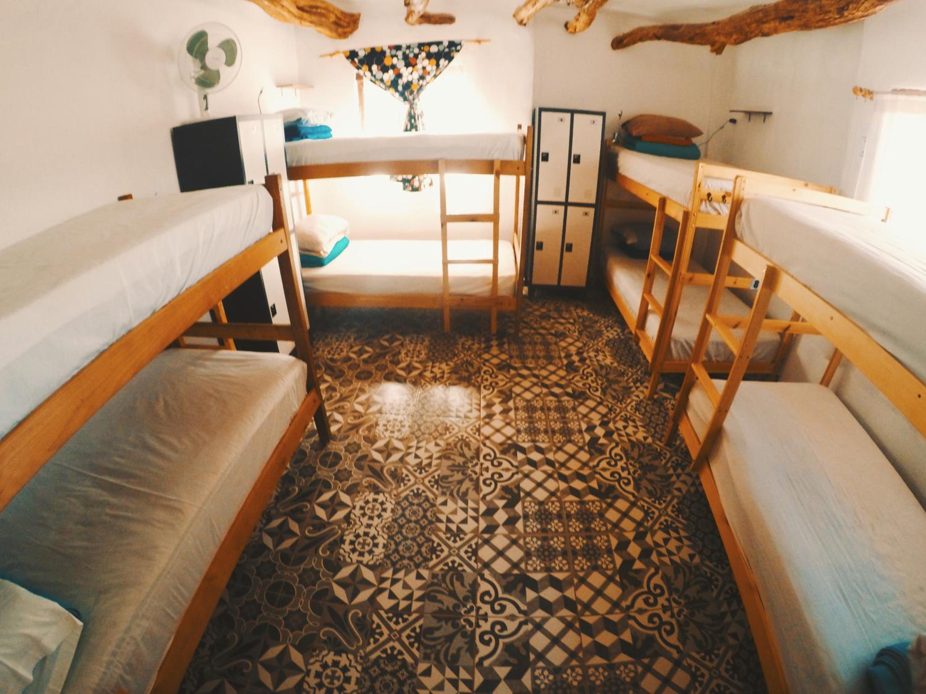 Bed in 8-Bed Mixed Dormitory Room photo 3