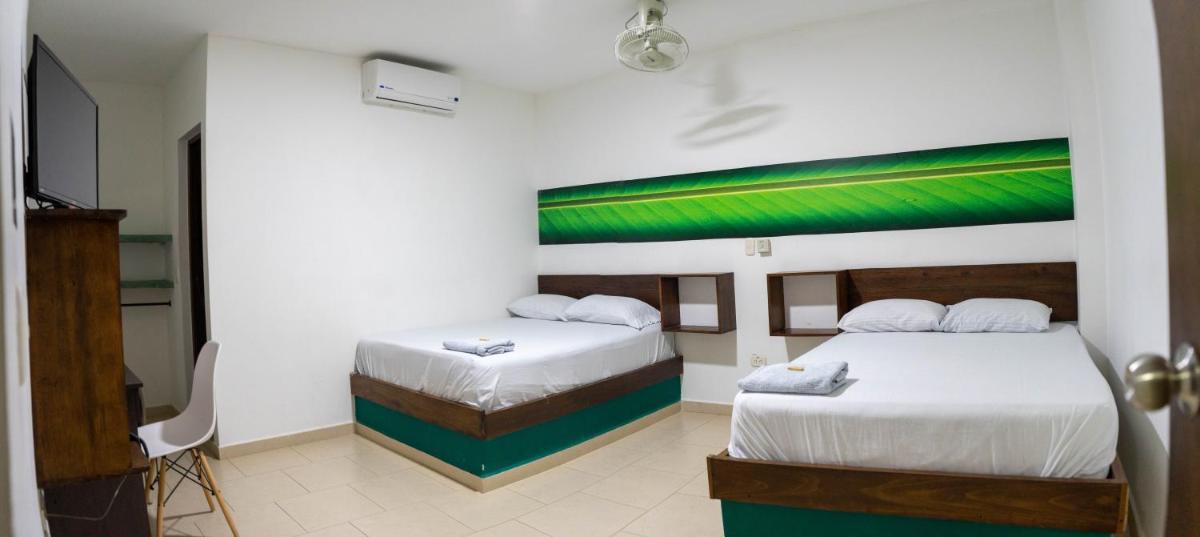 Twin Room photo 3