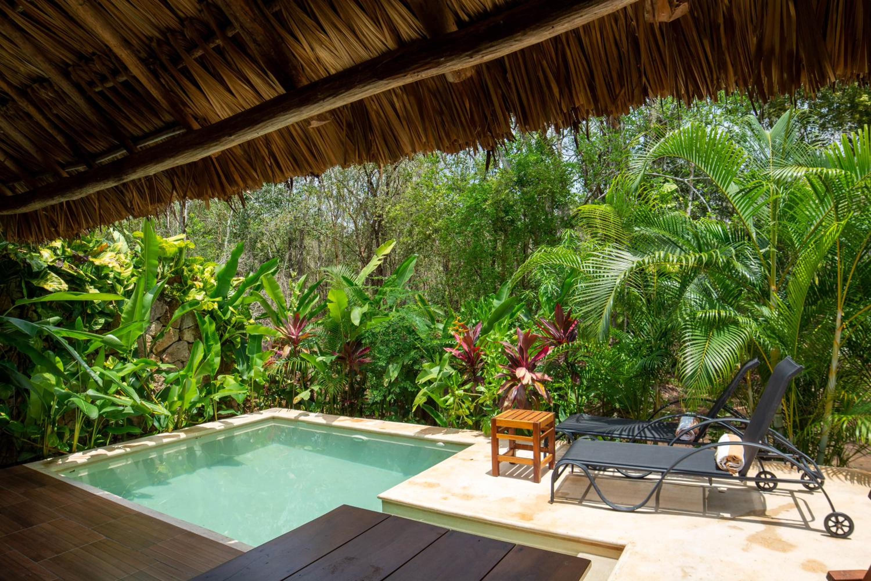Suite with Private Pool photo 3
