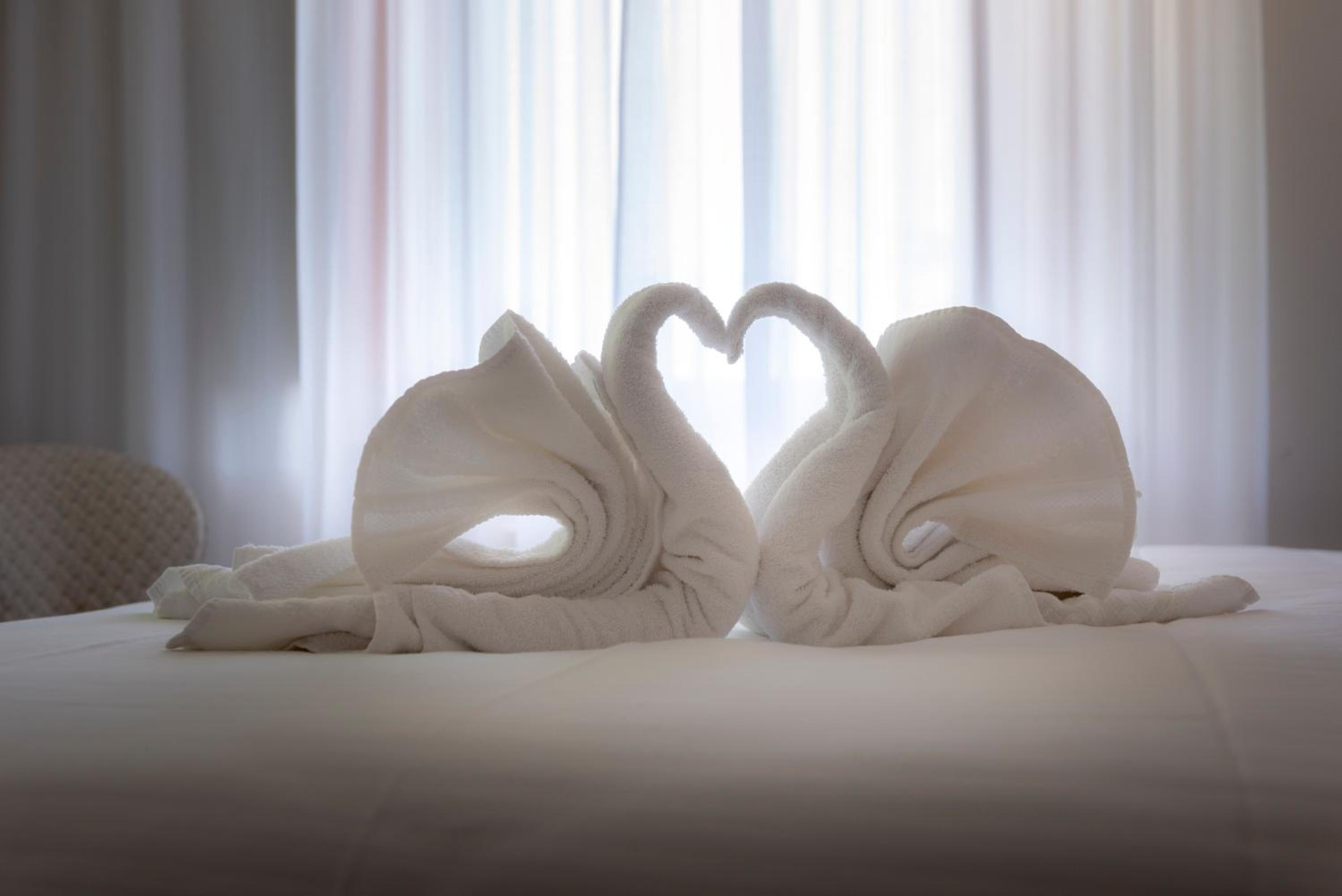 Suite - Photo 9