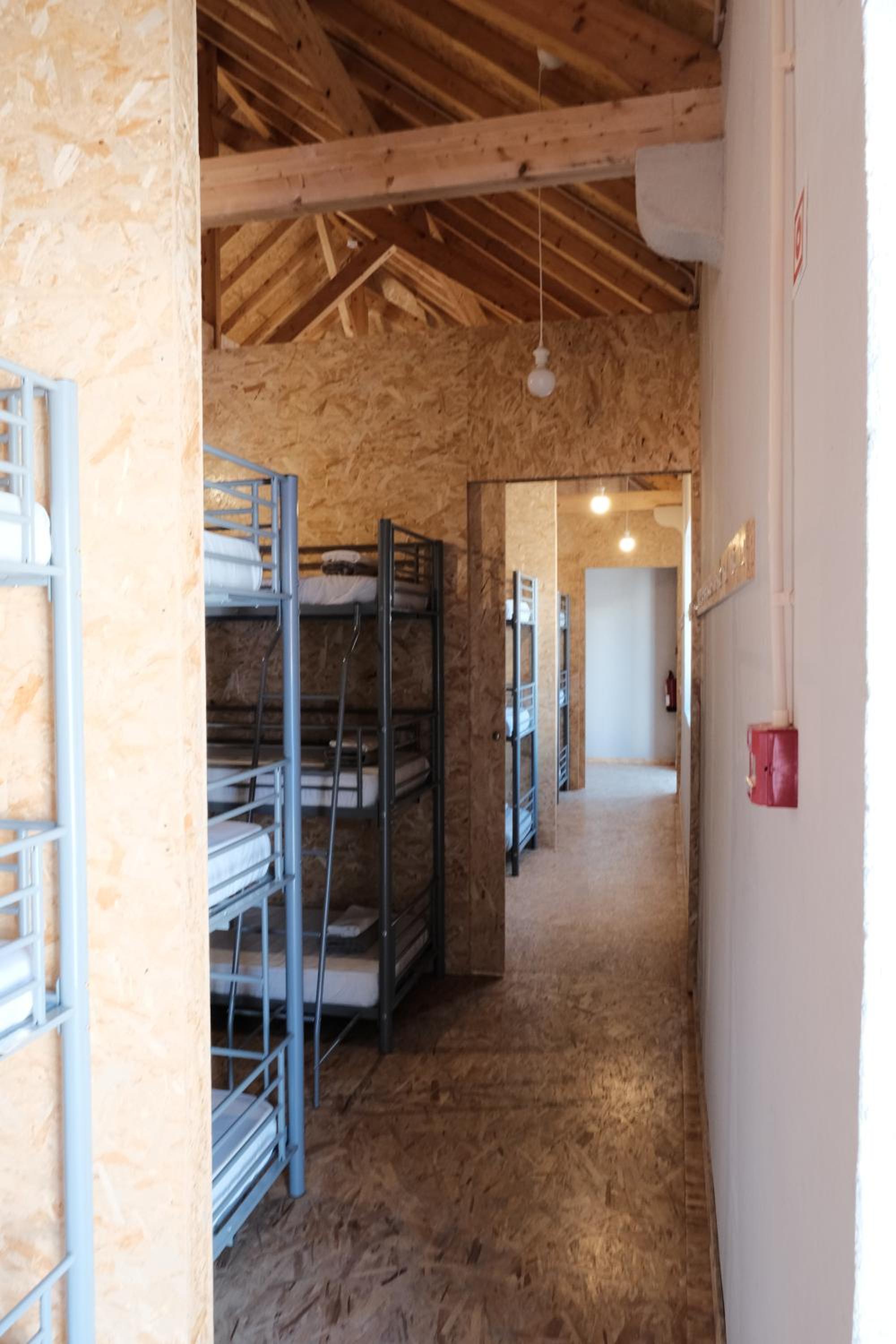 6-Bed Male Dormitory Room photo 1
