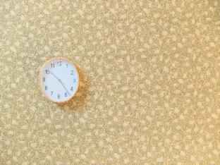 Studio Apartment - No Cleaning for Consecutive Night Stays - Photo 7