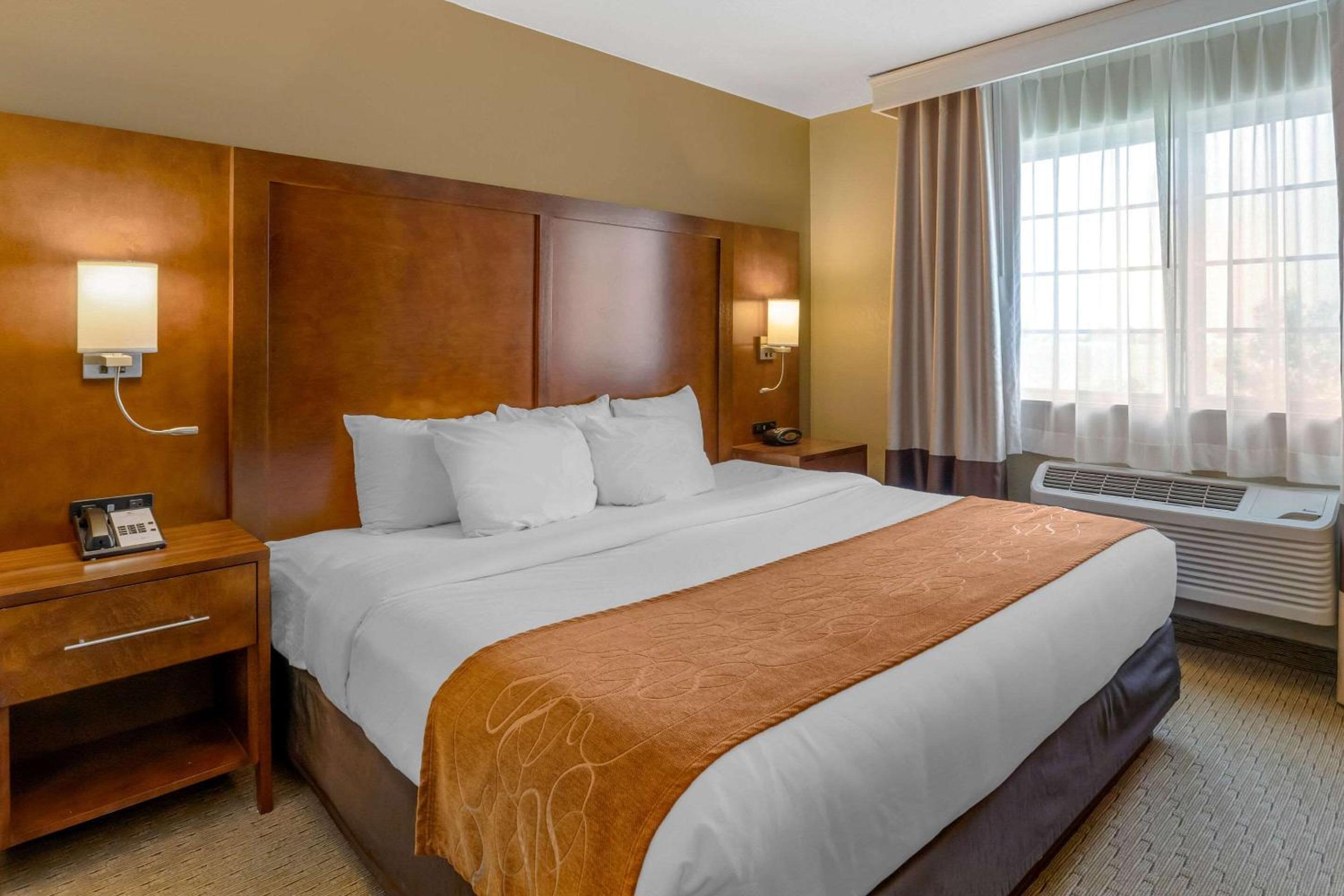 King Suite with Sofa Bed - Non-Smoking - Photo 6