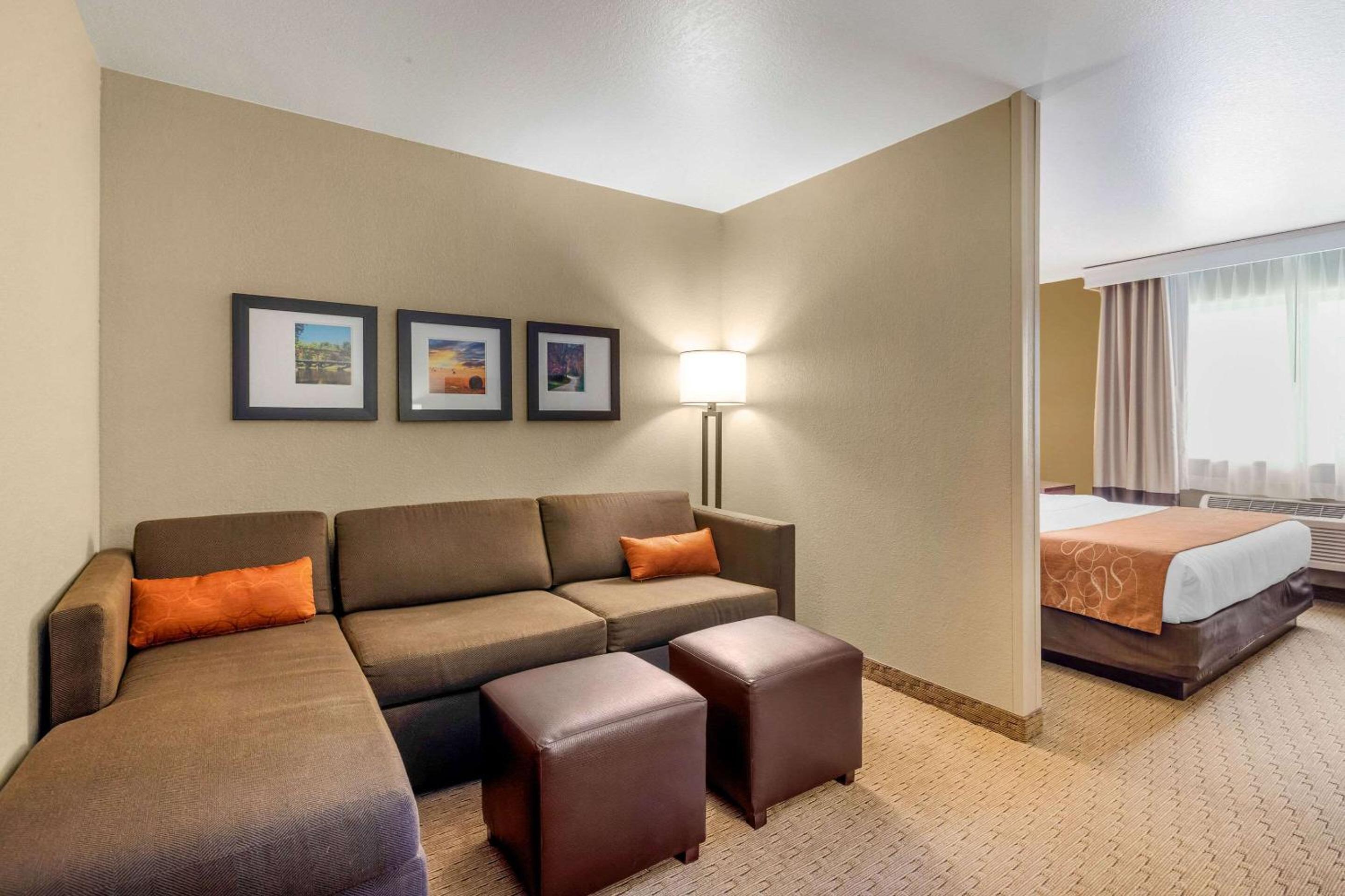 King Suite with Sofa Bed - Non-Smoking - Photo 8