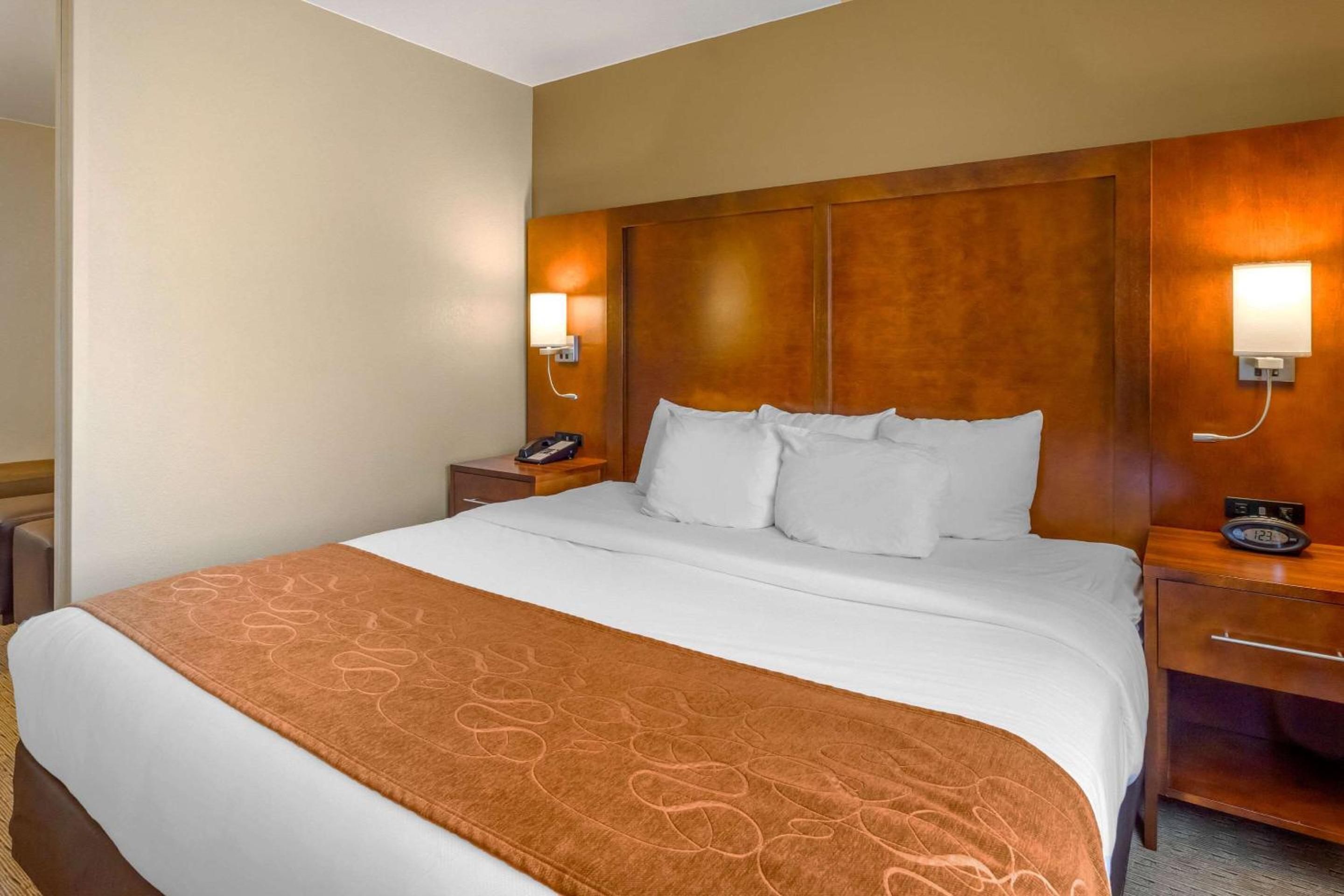 King Suite with Sofa Bed - Non-Smoking - Photo 9